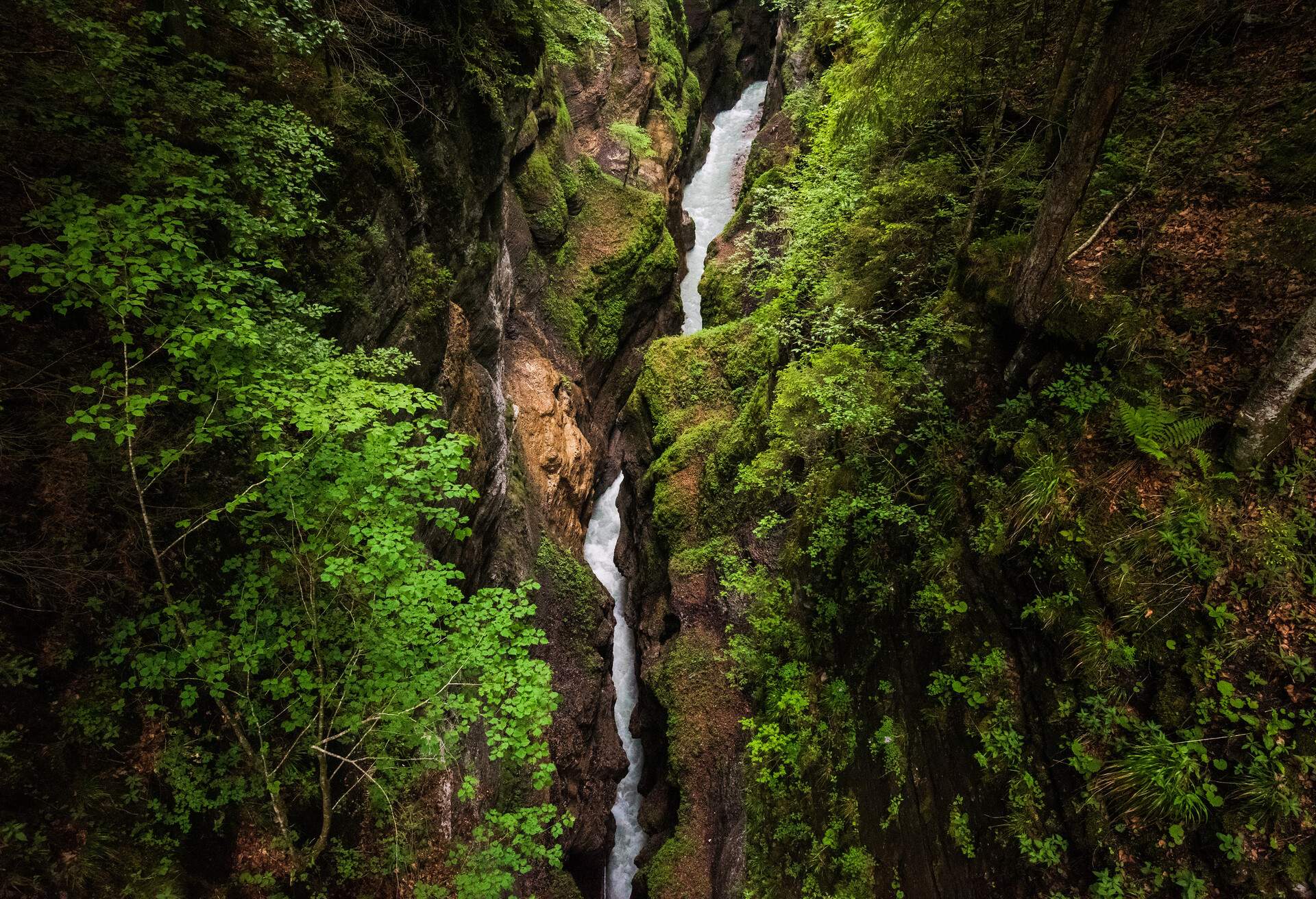 GERMANY_PARTNACH_GORGE_FOREST_WATERFALL