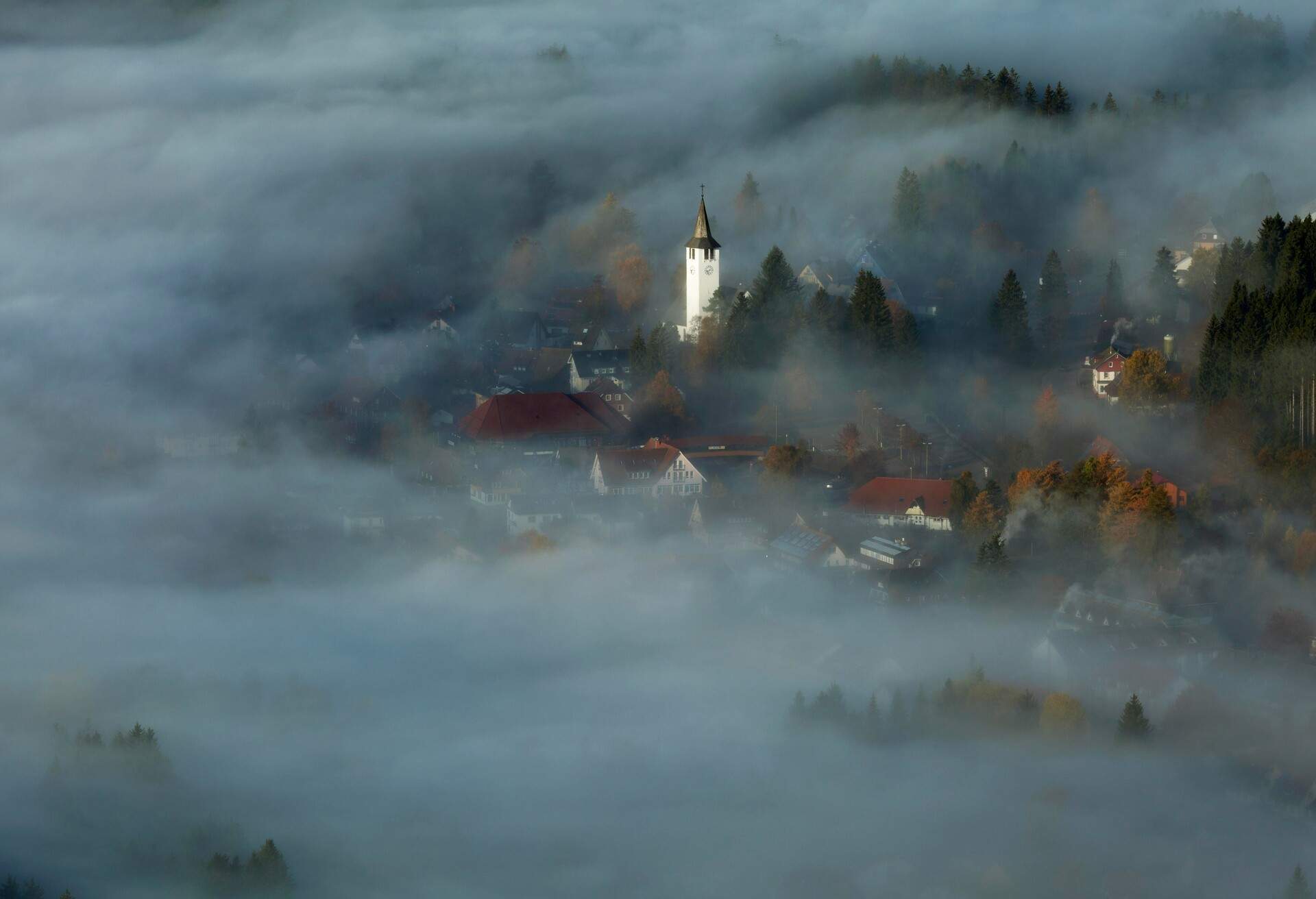 GERMANY_TITISEE_NEUSTADT_MORNING_MIST