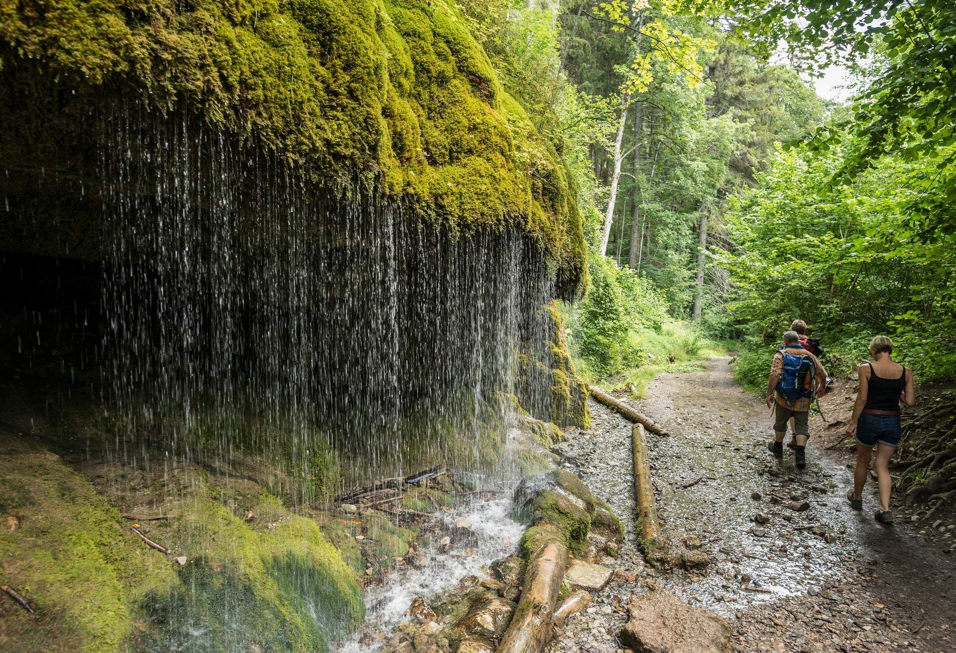 GERMANY_WUTACH_GORGE