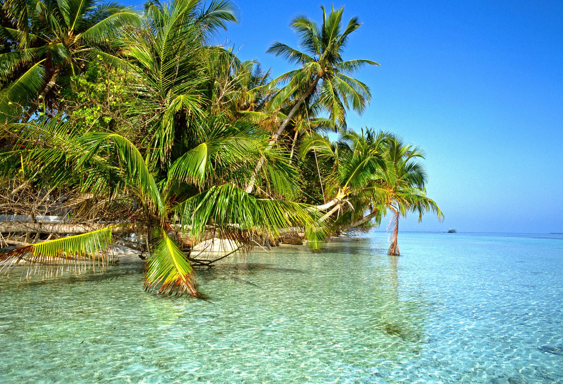 DEST_MALDIVES_NORTH-MALE-ATOLL_MAKUNUGHOO_BEACH_GettyImages-82133548