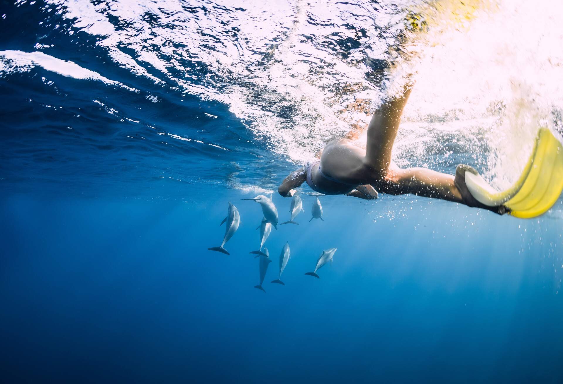 DEST_MAURITIUS_THEME_SNORKELLING-WITH-DOLPHINS_GettyImages-1269478501