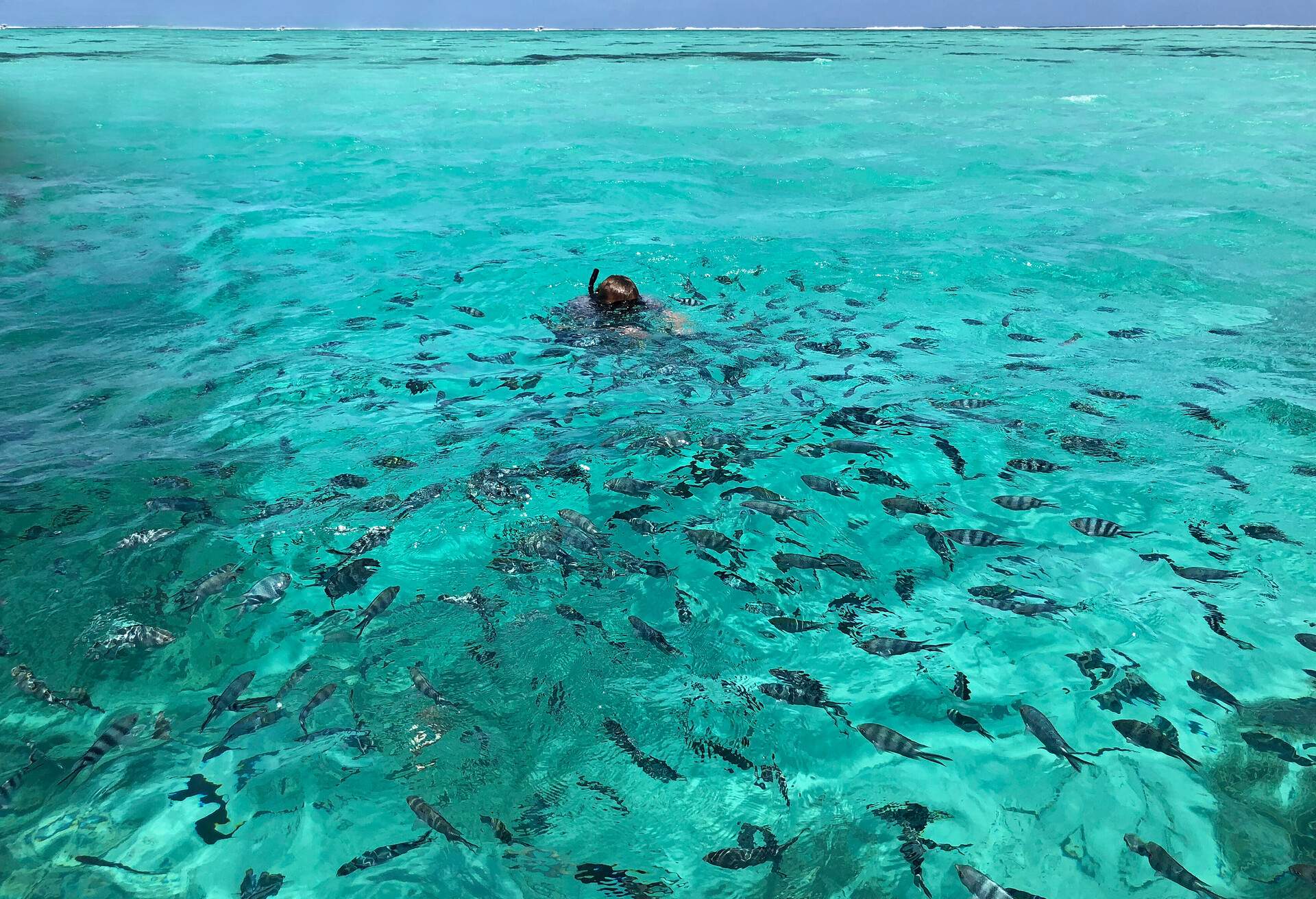 DEST_MAURITIUS_THEME_SORKELLING_FREE-DIVING_GettyImages-1130344143