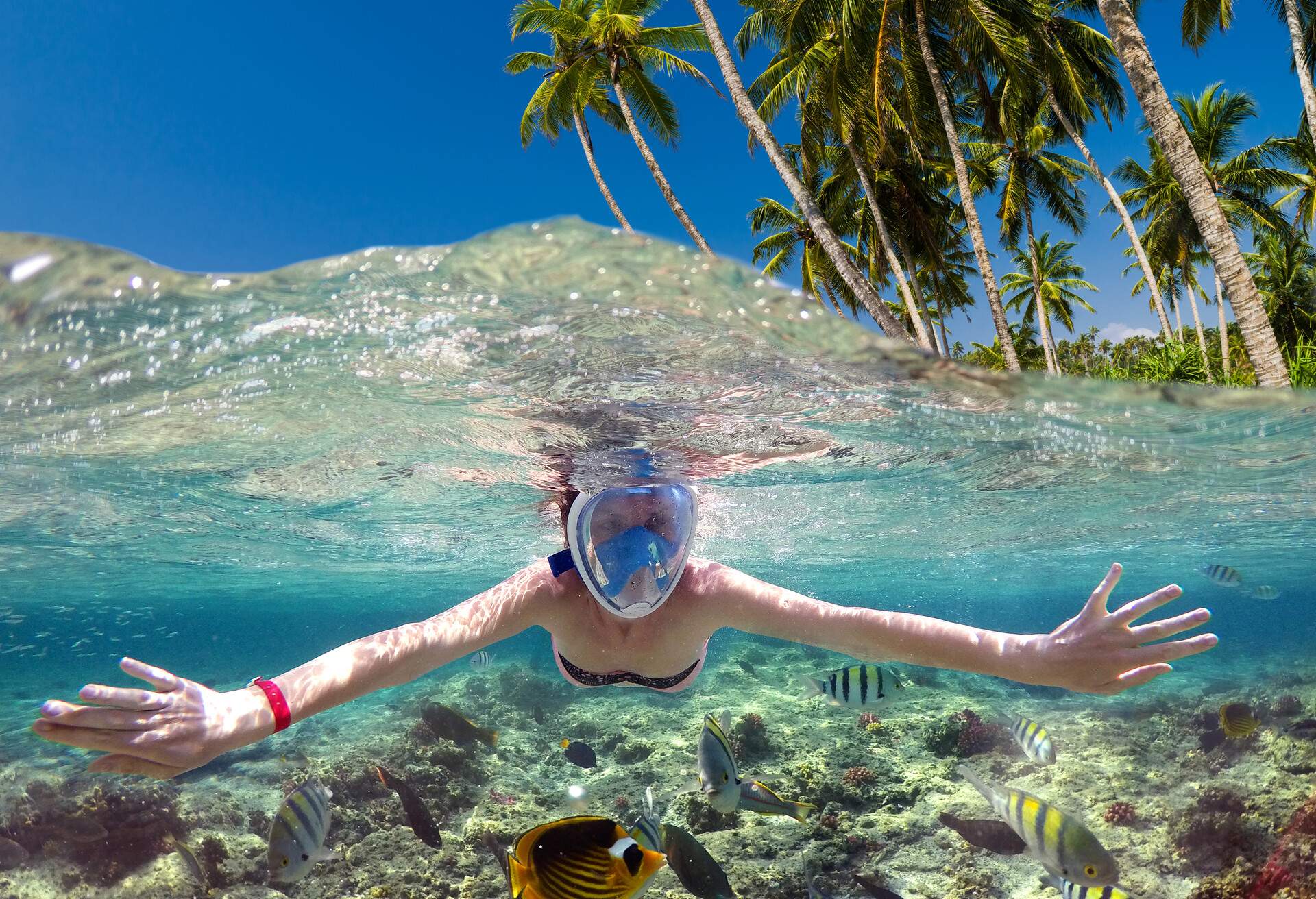 DEST_MAURITIUS_THEME_SORKELLING_FREE-DIVING_GettyImages-1154034995