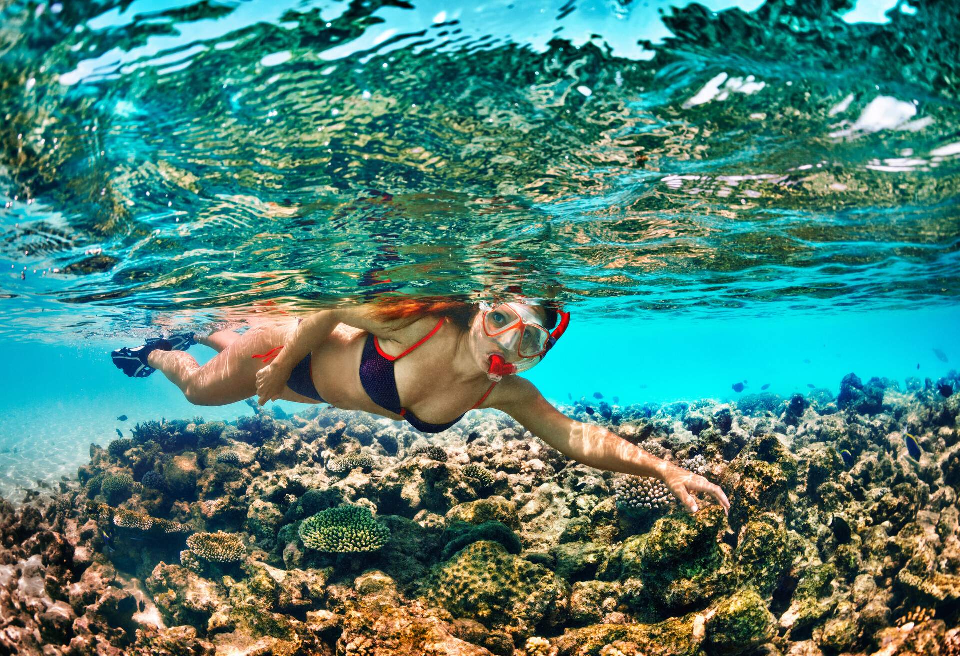 DEST_MAURITIUS_THEME_SORKELLING_FREE-DIVING_GettyImages-156823974