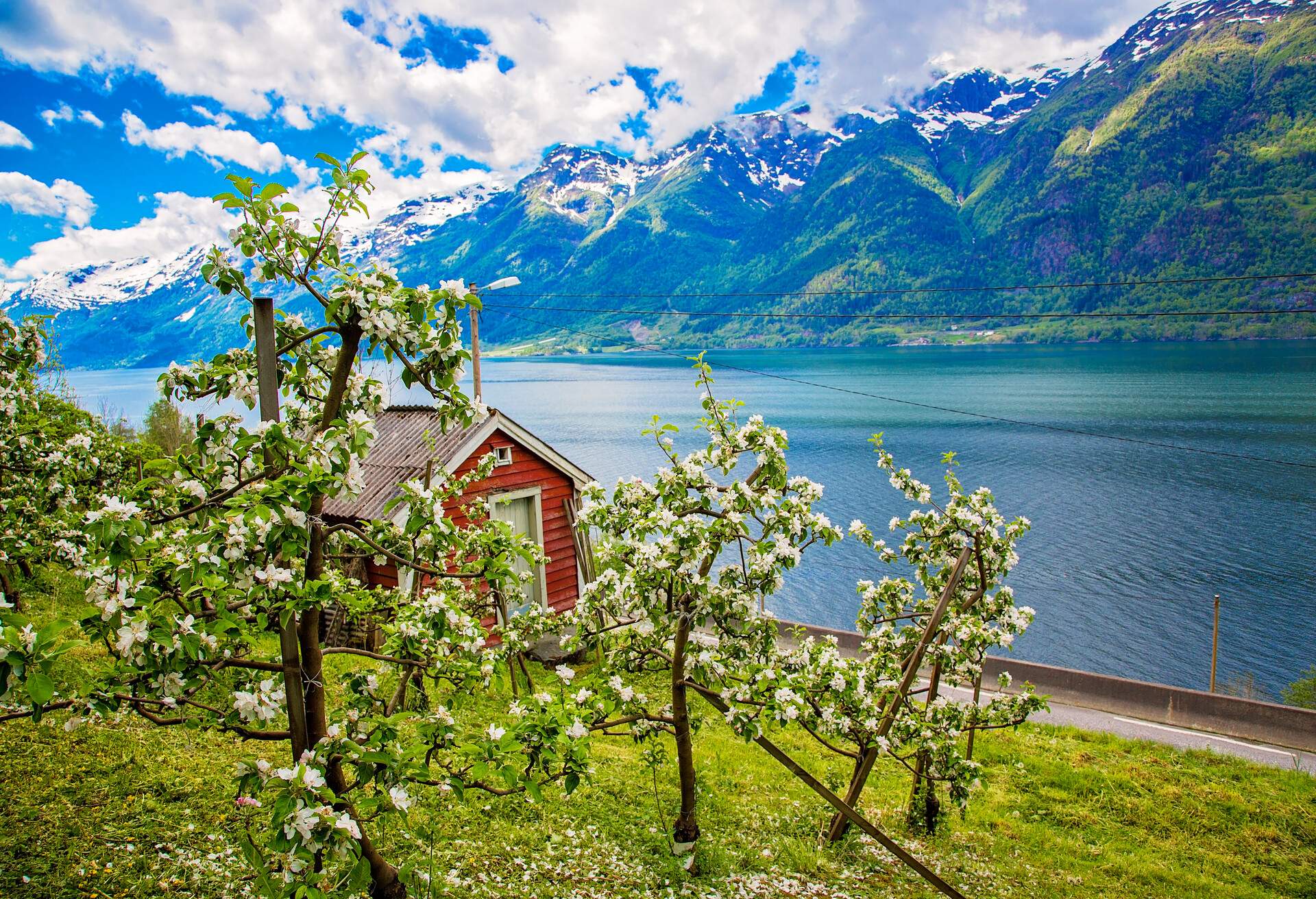 DEST_NORWAY_Hardangerfjord_GettyImages-472778794