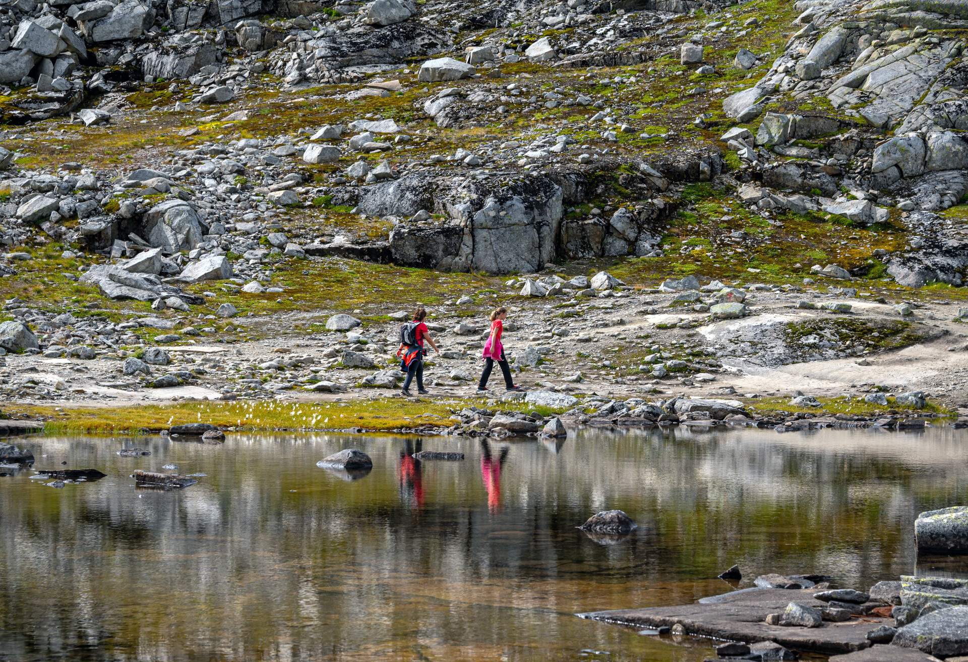 DEST_NORWAY_Hardangervidda_National_Park_GettyImages-1388764594