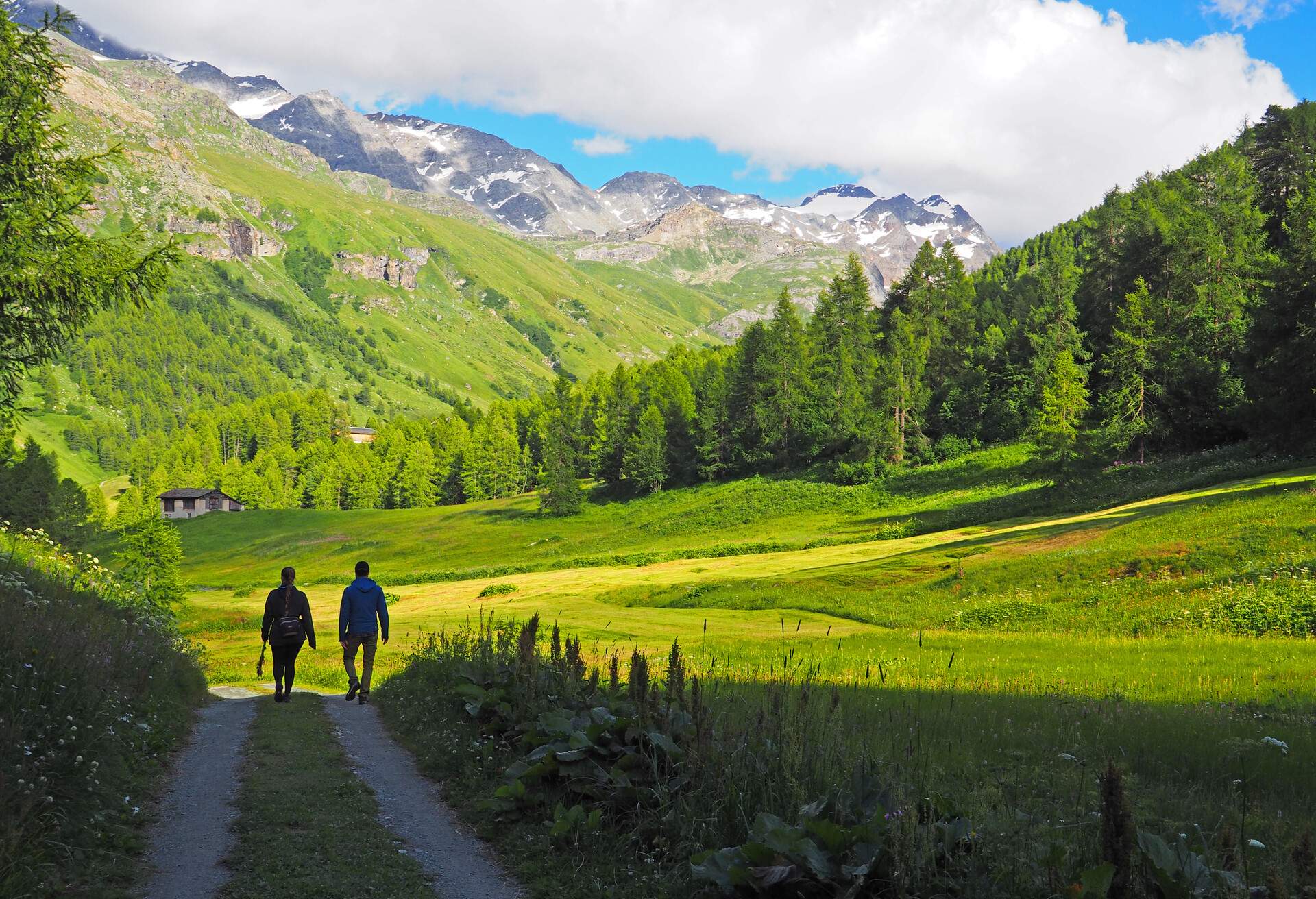 Two silhouettes walking through green sunlit meadow and woodland with view on snowcapped mountains. Romantic Fex Valley in Engadin, Switzerland.