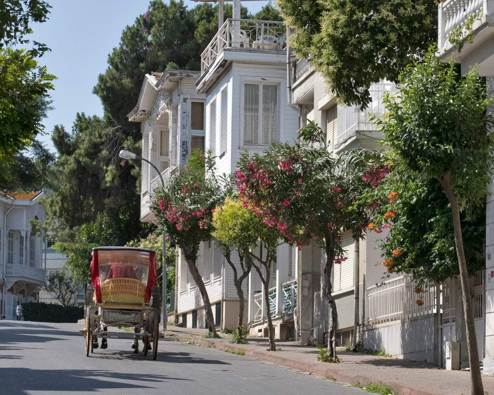 Istanbul mit Kindern: Aktivitäten, Freizeitparks und mehr | momondo