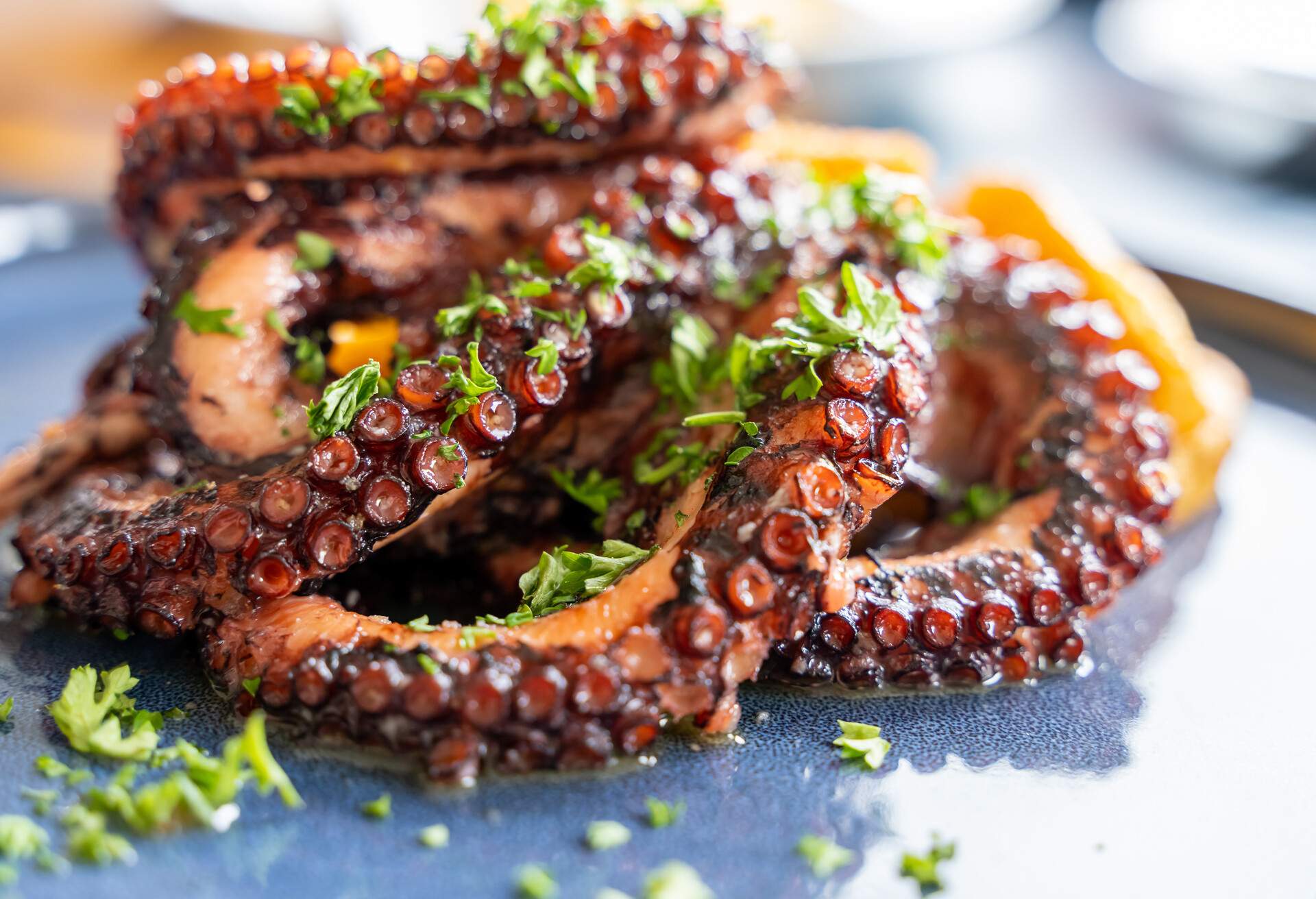 Delicious gourmet grilled octopus, or Octopus a la gallega