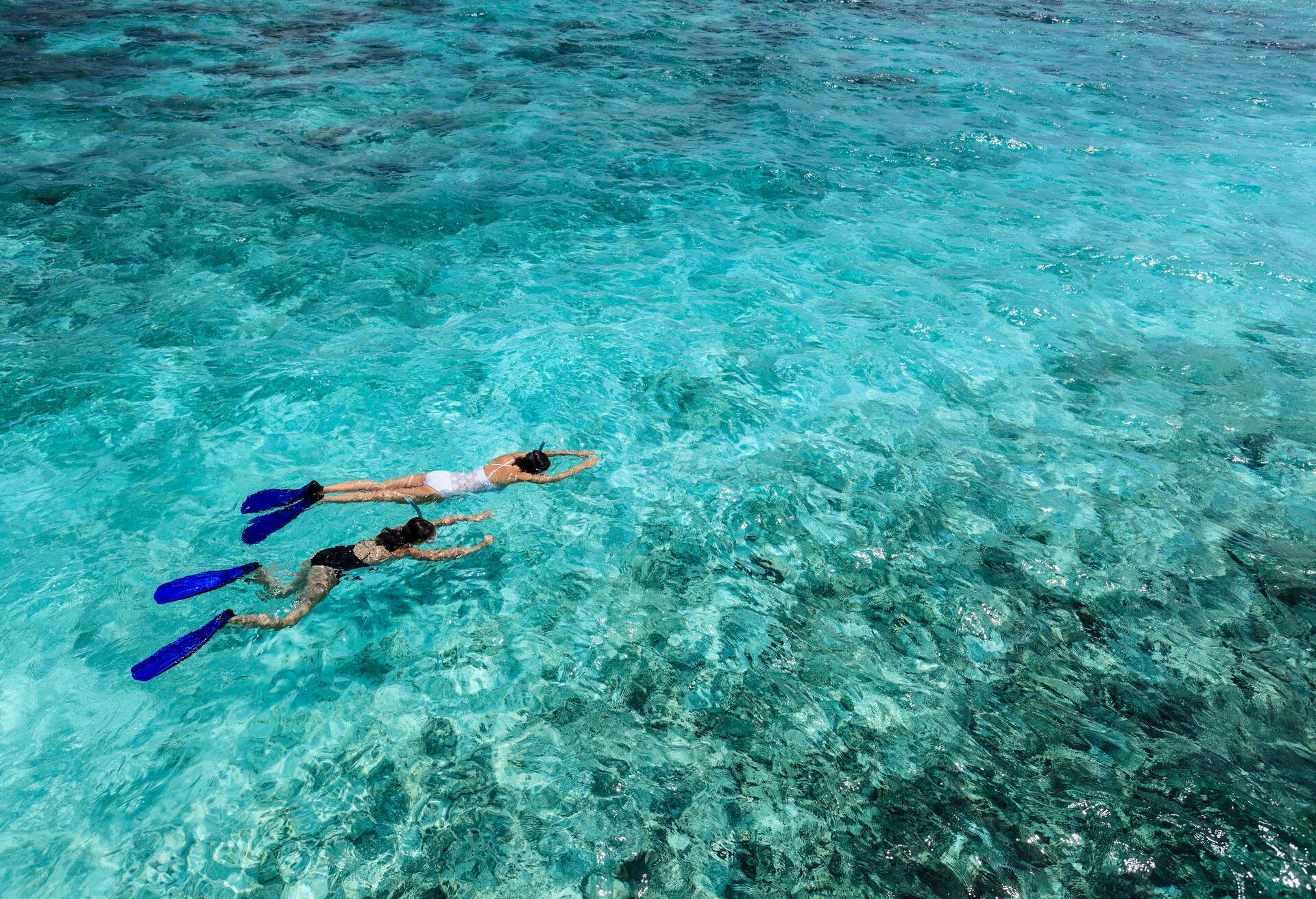 THEME_PEOPLE_SNORKELLING_FINS_GettyImages-155369467