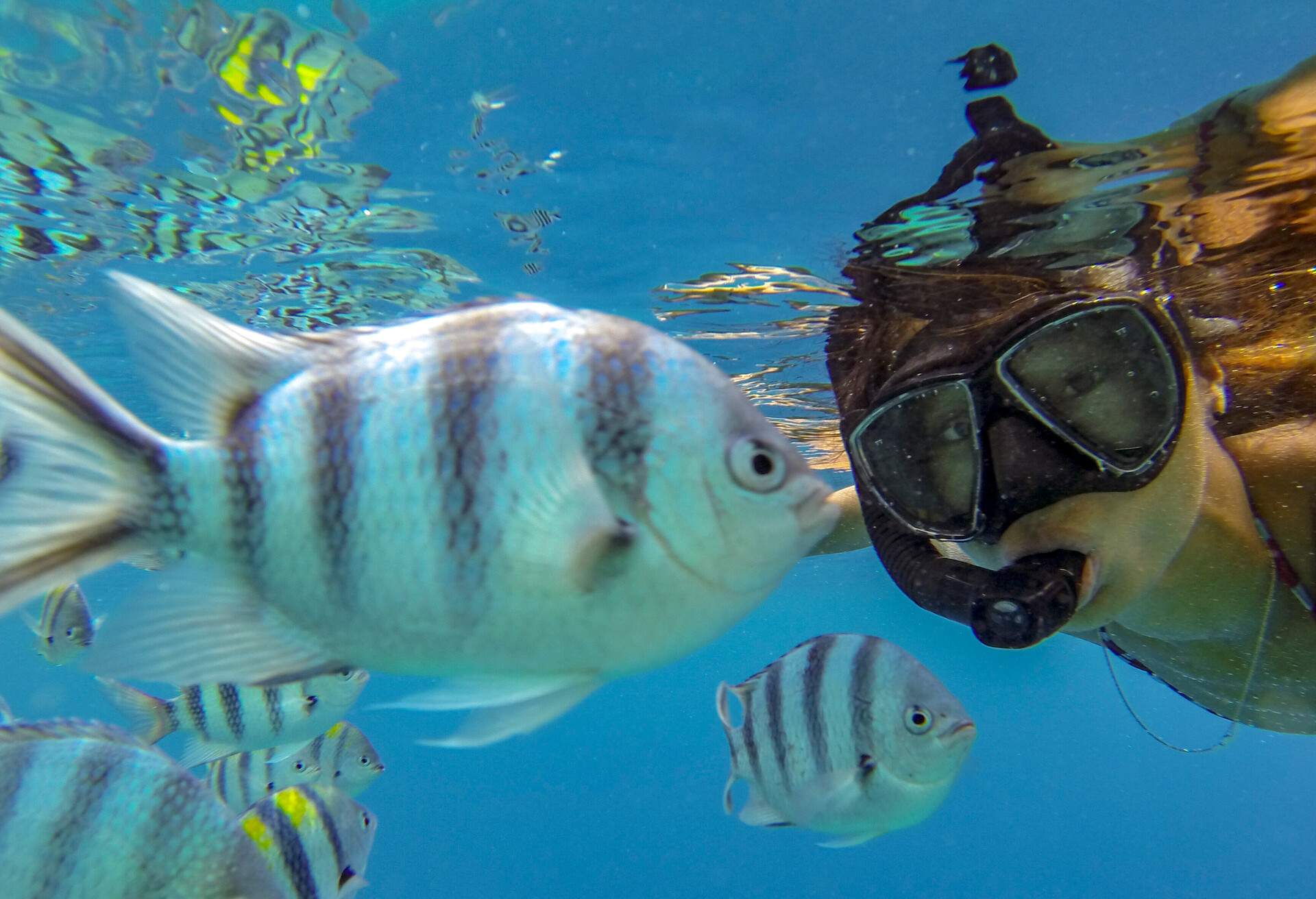 THEME_PEOPLE_WOMAN_SNORKELING_FISH_GettyImages-913968548