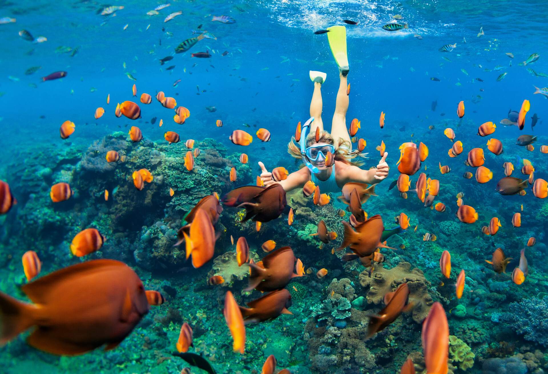 beach_person_woman_snorkeling