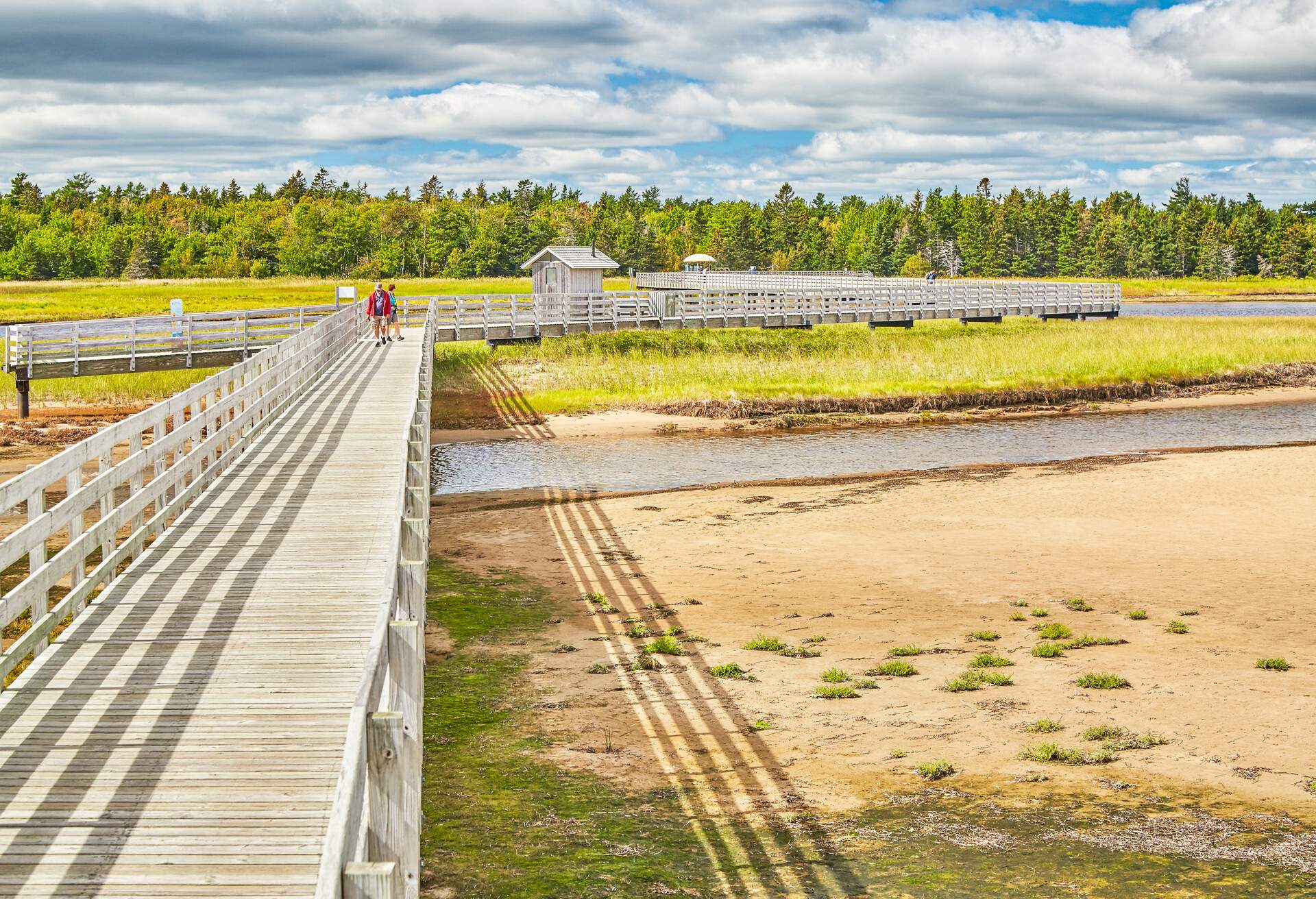 DEST_CANADA_NEW-BRUNSWICK_Kouchibouguac National Park_GettyImages-614022725