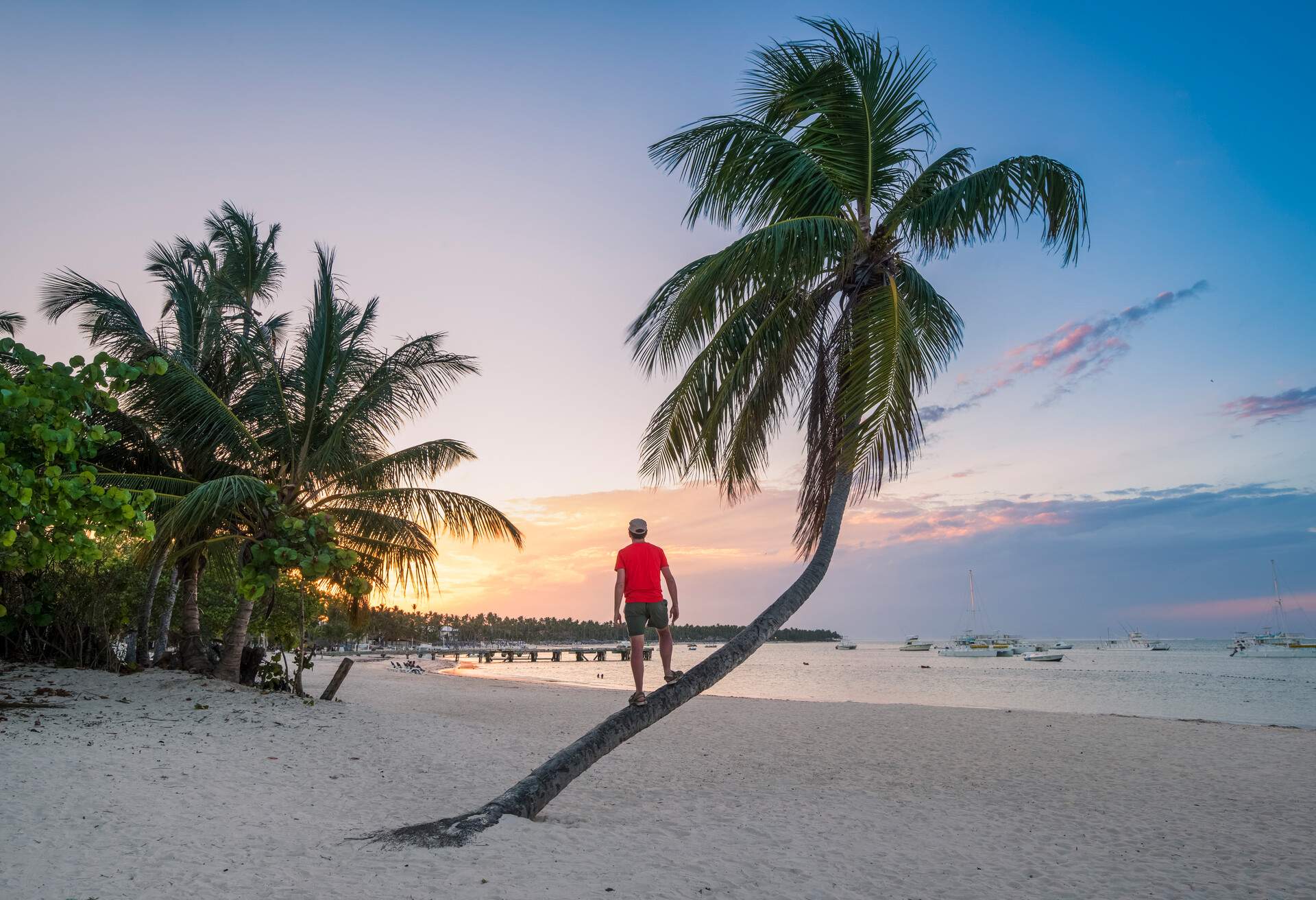 Cabeza de Toro beach, Punta Cana, Dominican Republic. Man standing on the trunk of a palm tree.