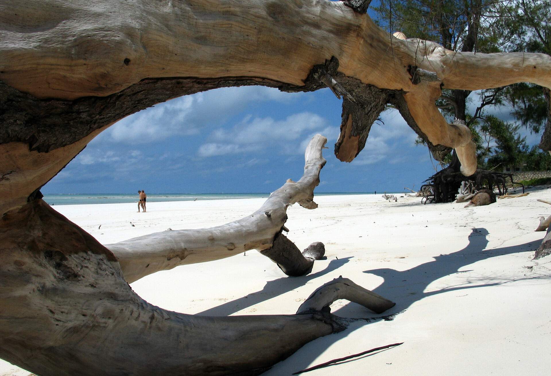 DEST_KENYA_MOMBASA_DIANI_BEACH_GettyImages-524881734