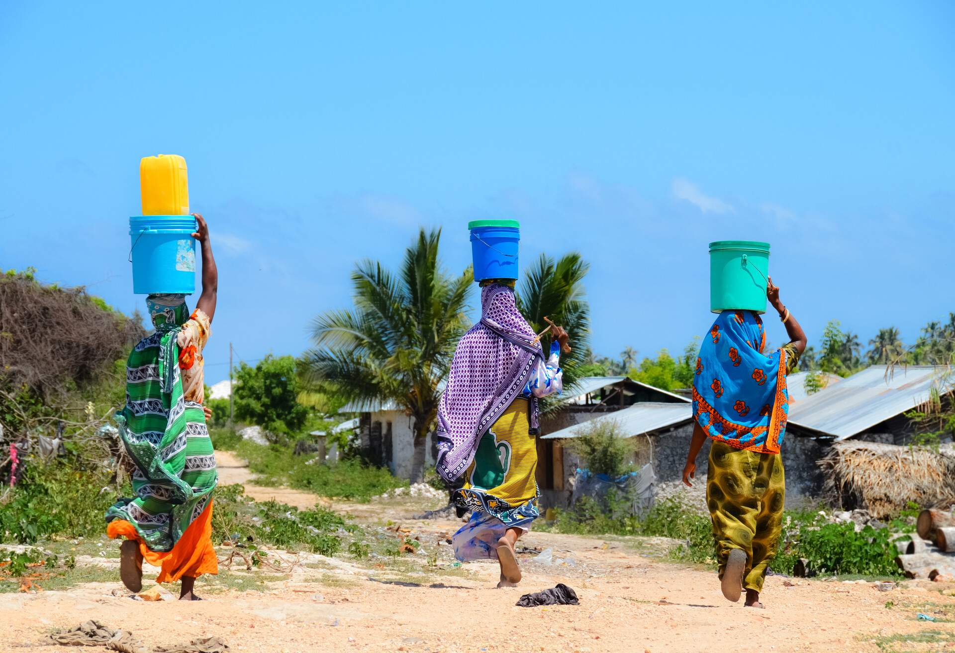 DEST_TANZANIA_ZANZIBAR_KIJAMBANI_GettyImages-175923465