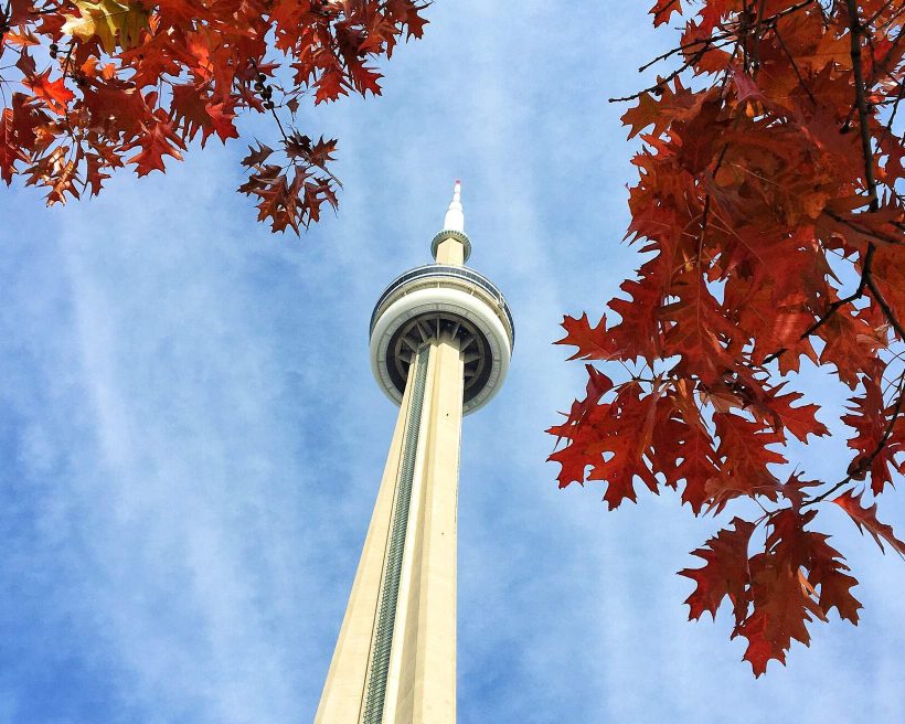 Red maple leaves and tall white concrete communication and surveillance towers are seen from below.
