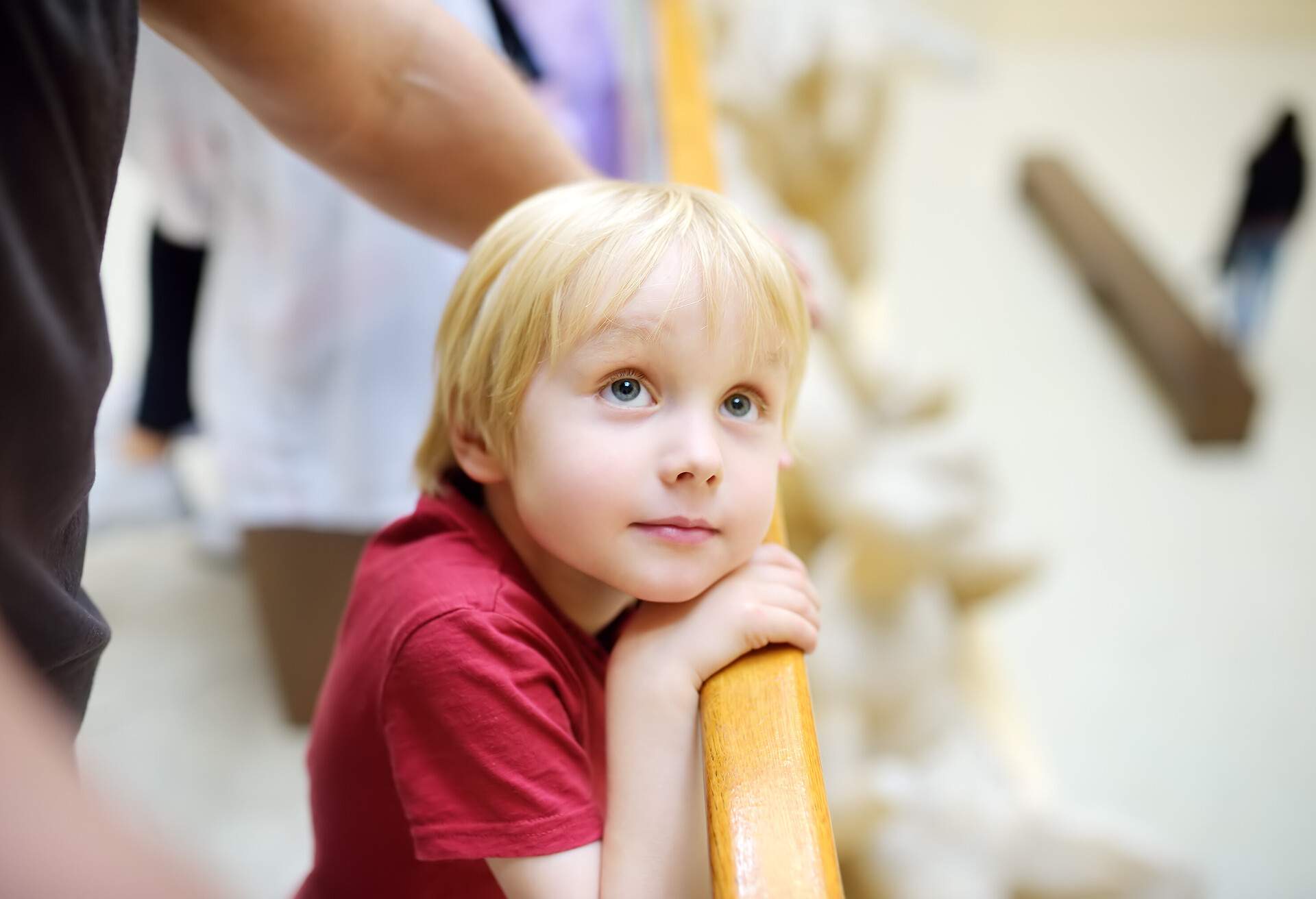 A young boy leaning on wooden hand rail while gazing upward.