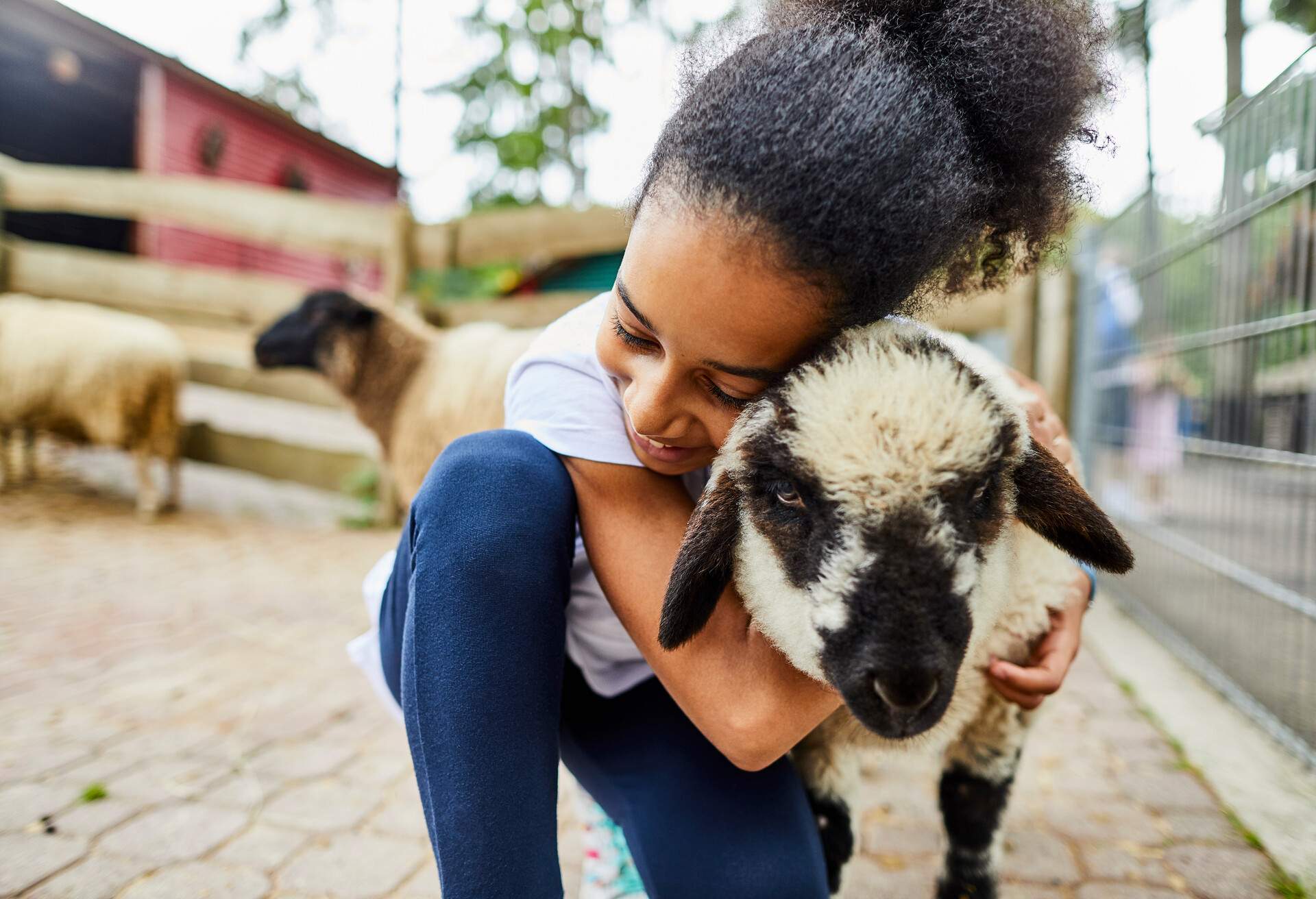 THEME_PETTING-ZOO_CHILD_GettyImages-1064200044