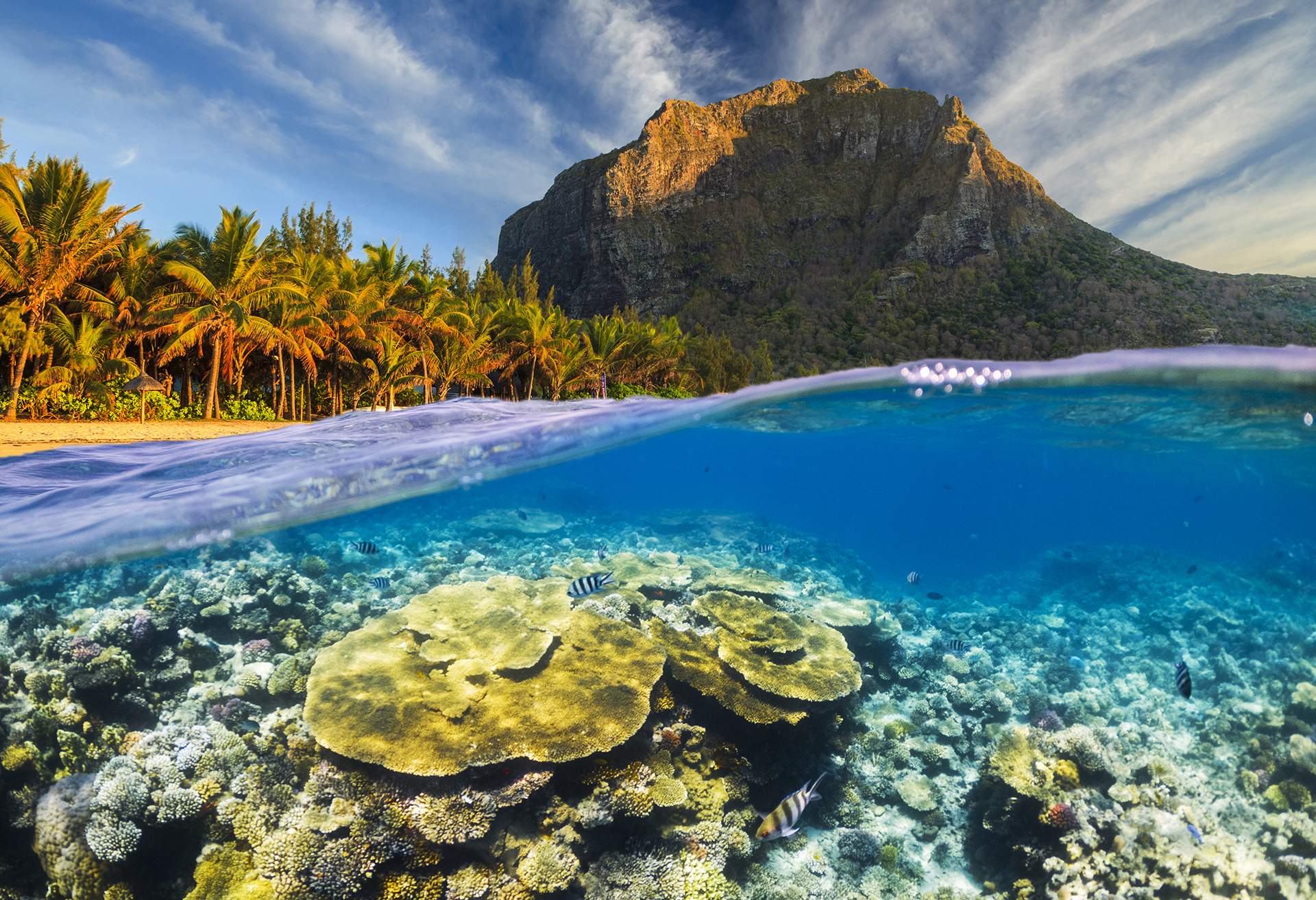 UNDERWATER VIEW OF MAURITIUS AND MOUNTAIN