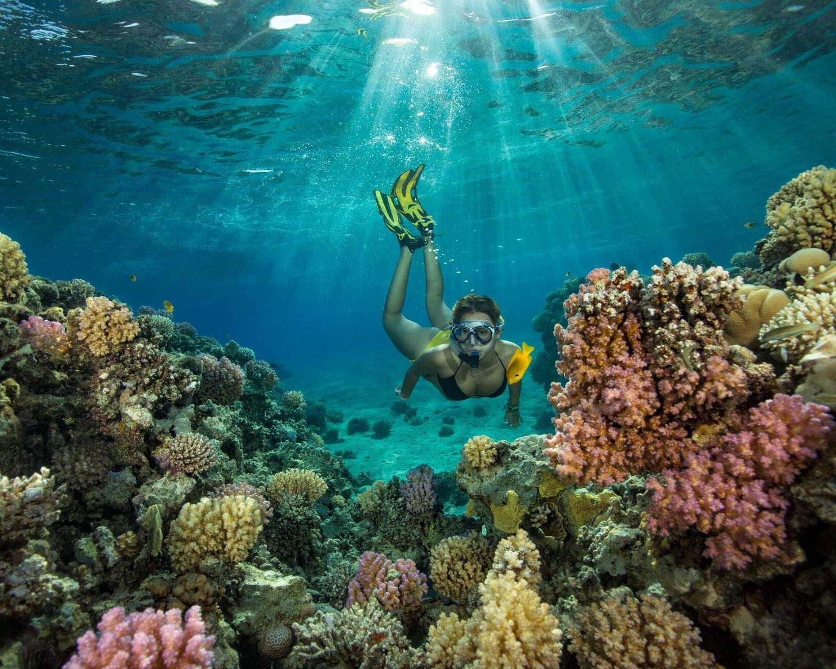 Schnorcheln in Ägypten Spots & Tipps für den Urlaub momondo