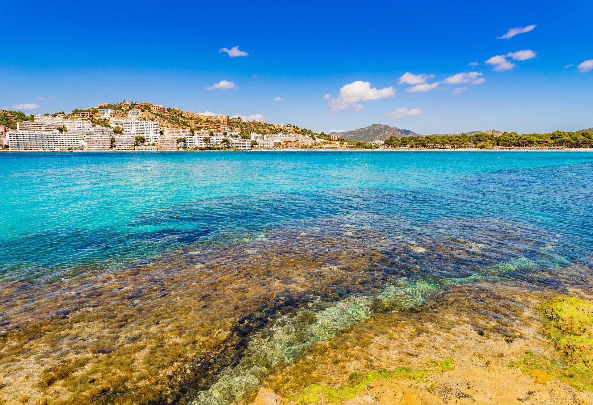 Seaside coast at Santa Ponca beach, Mallorca island, Spain Mediterranean Sea 