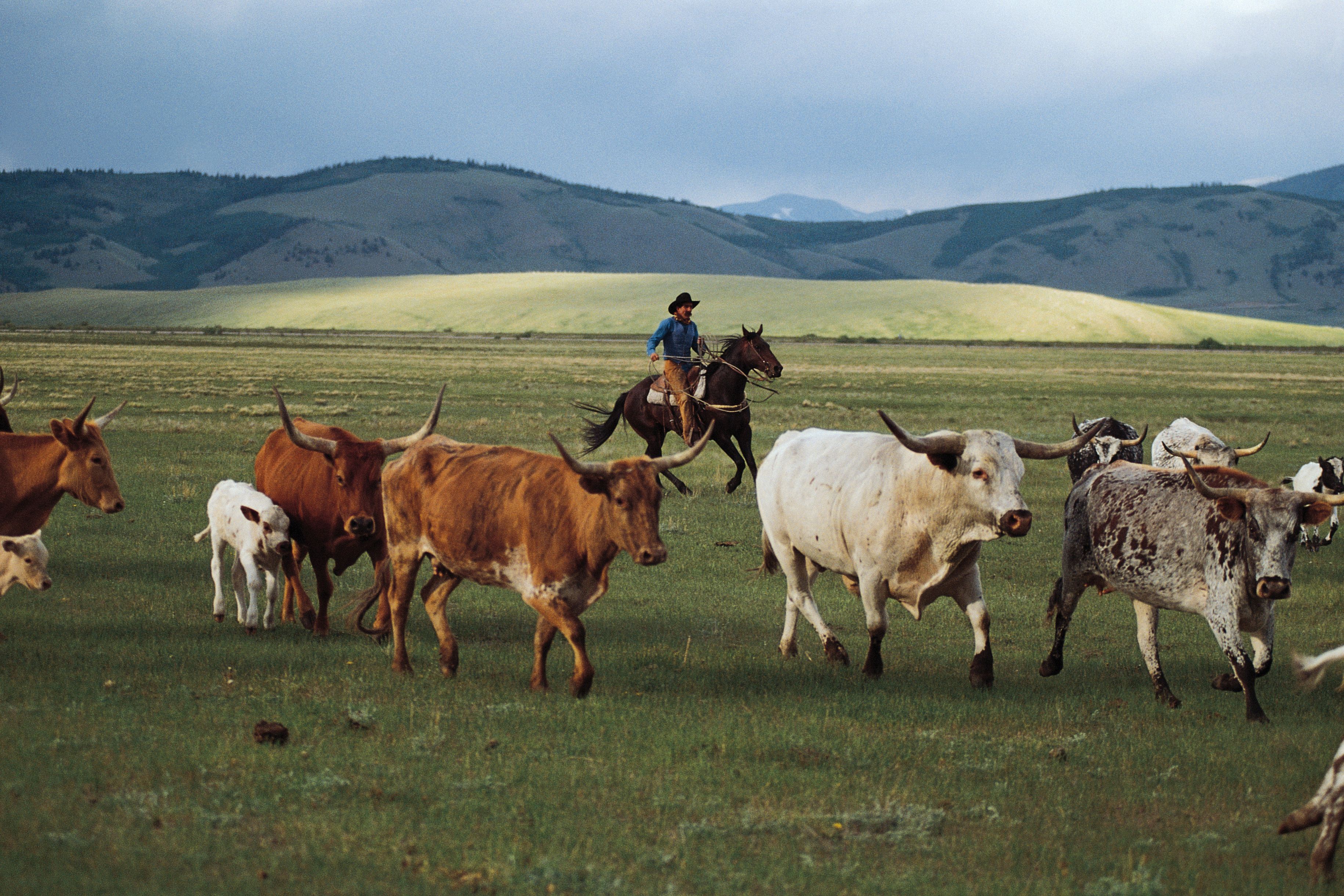 Hotels in Fairplay ab 88 € Finde günstige Hotels mit momondo