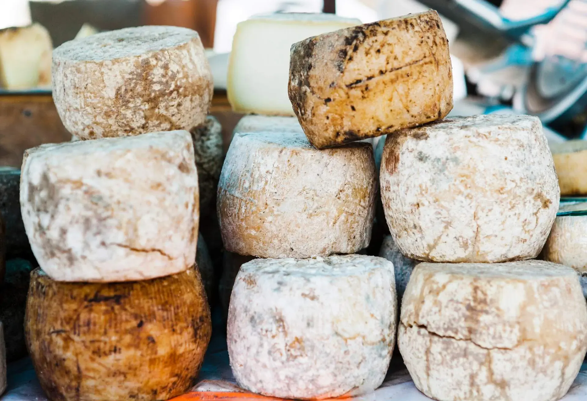 DEST_FRANCE_CORSICA_THEME_FOOD_CHEESE_GettyImages-962688510