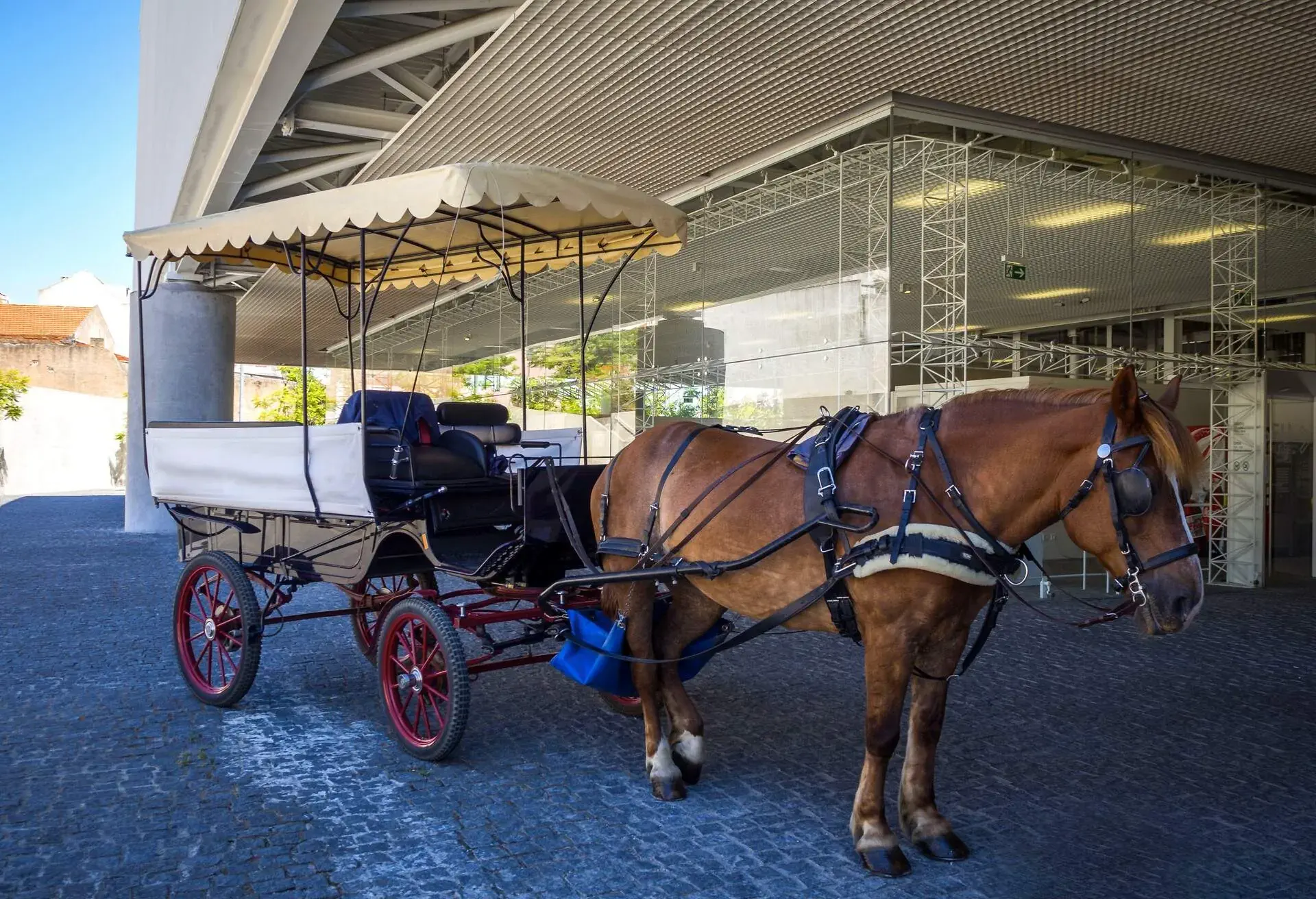 DEST_PORTUGAL_LISBON_THEME_MUSEUM_DOS_COCHES_GettyImages-1012146370
