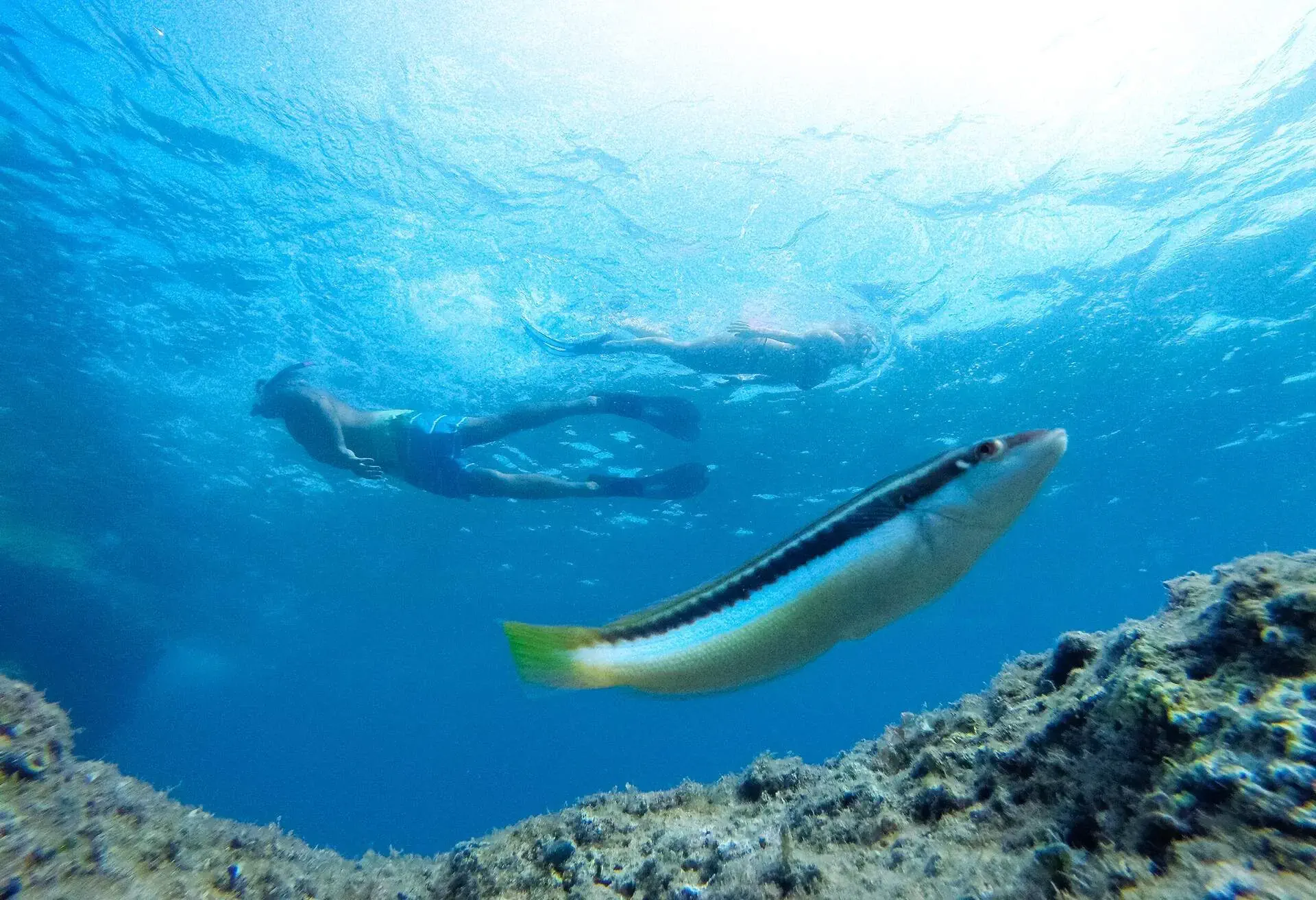 dest_croatia_krkisland_underwater-diving_gettyimages