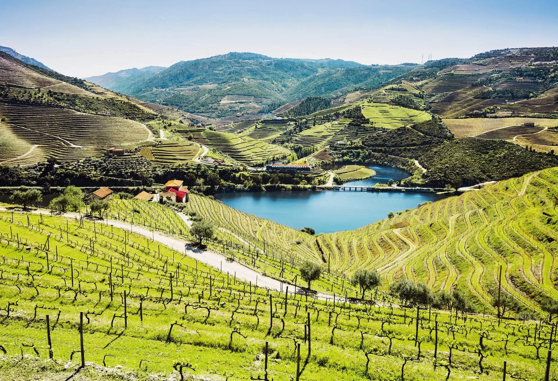 DEST_PORTUGAL_DOURO_shutterstock-premier_1011638089
