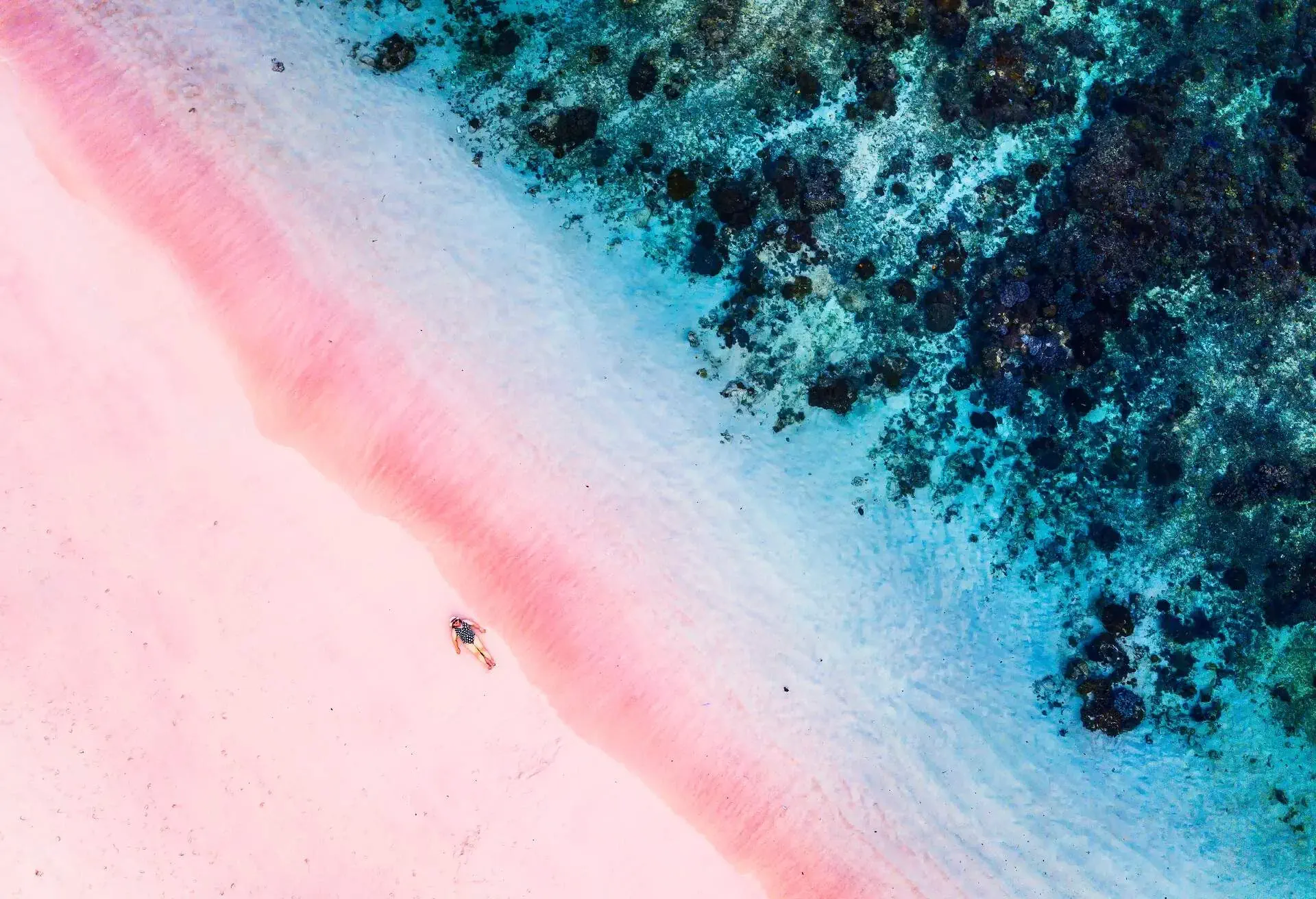 dest_indonesia_komodo-island_pink-beach_shutterstock_1721881078_universal_within