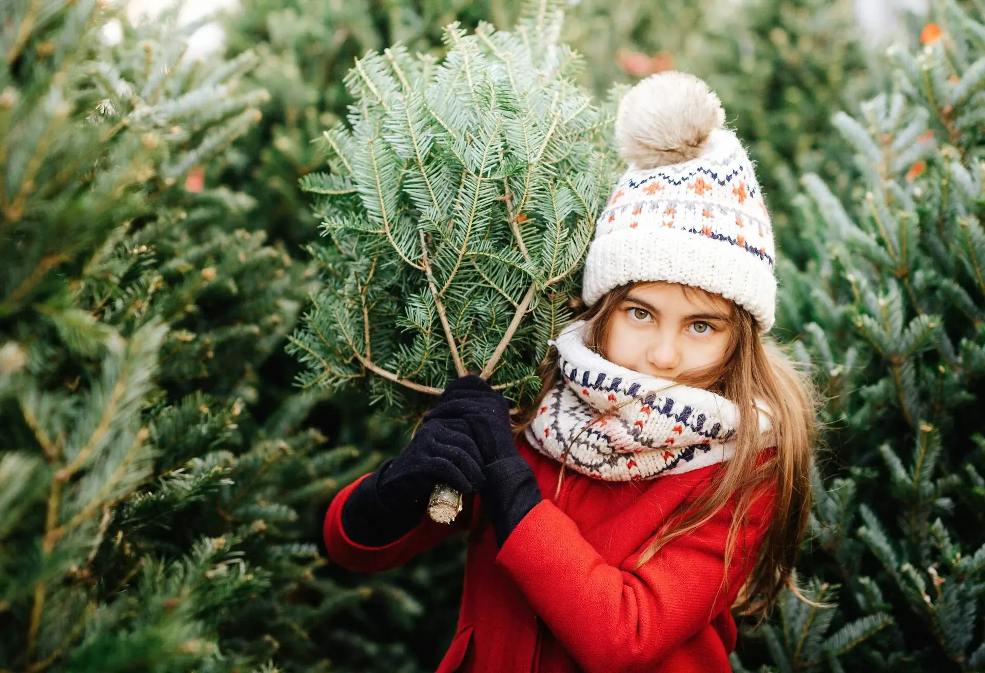 Young girl holding Christmas tree at the market.