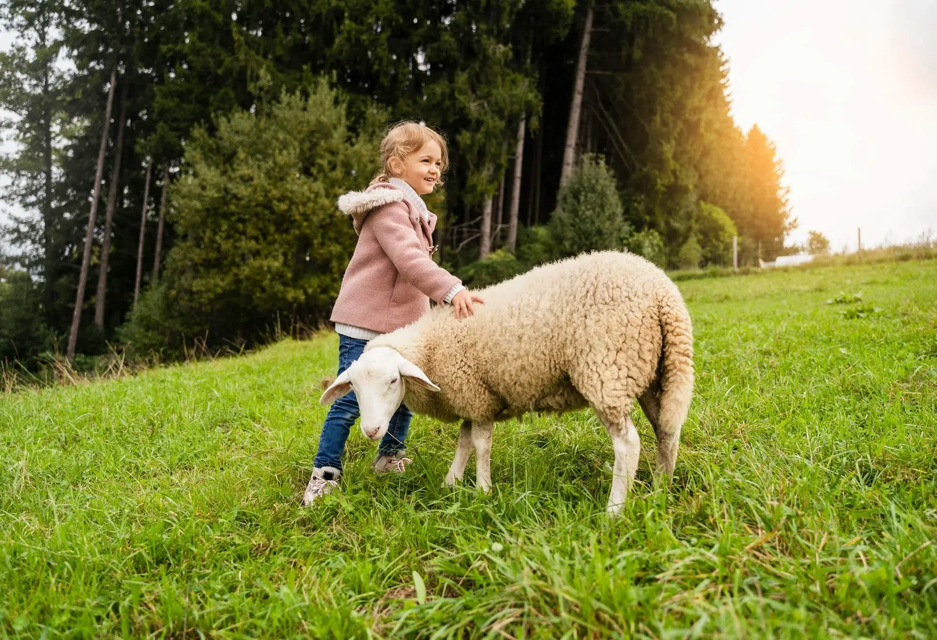 DEST_AUSTRIA_THEME_PEOPLE_KID_GIRL_SHEEP_FARM_GettyImages
