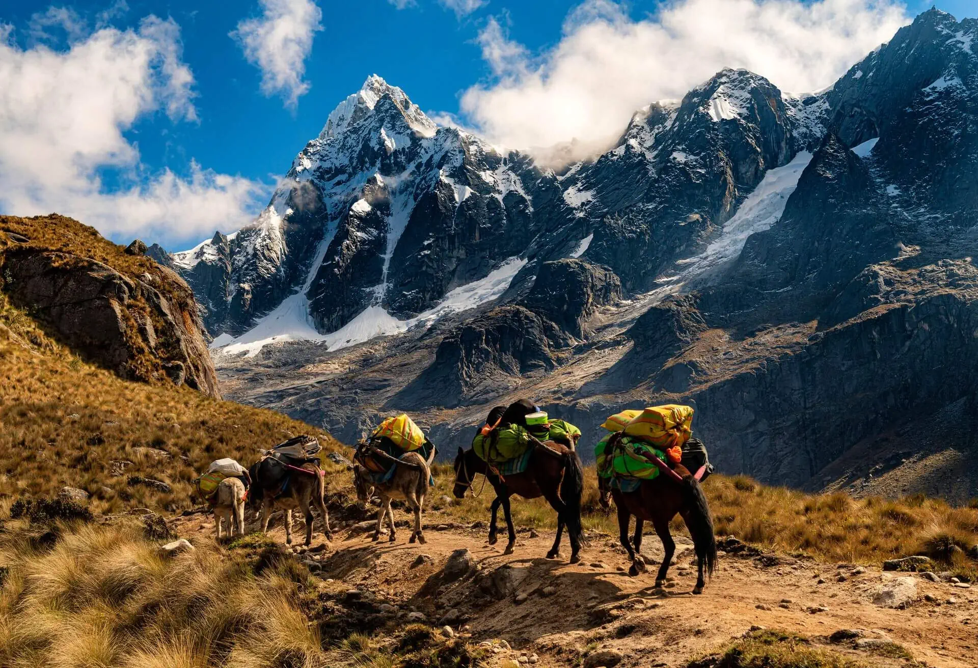 andes mountains