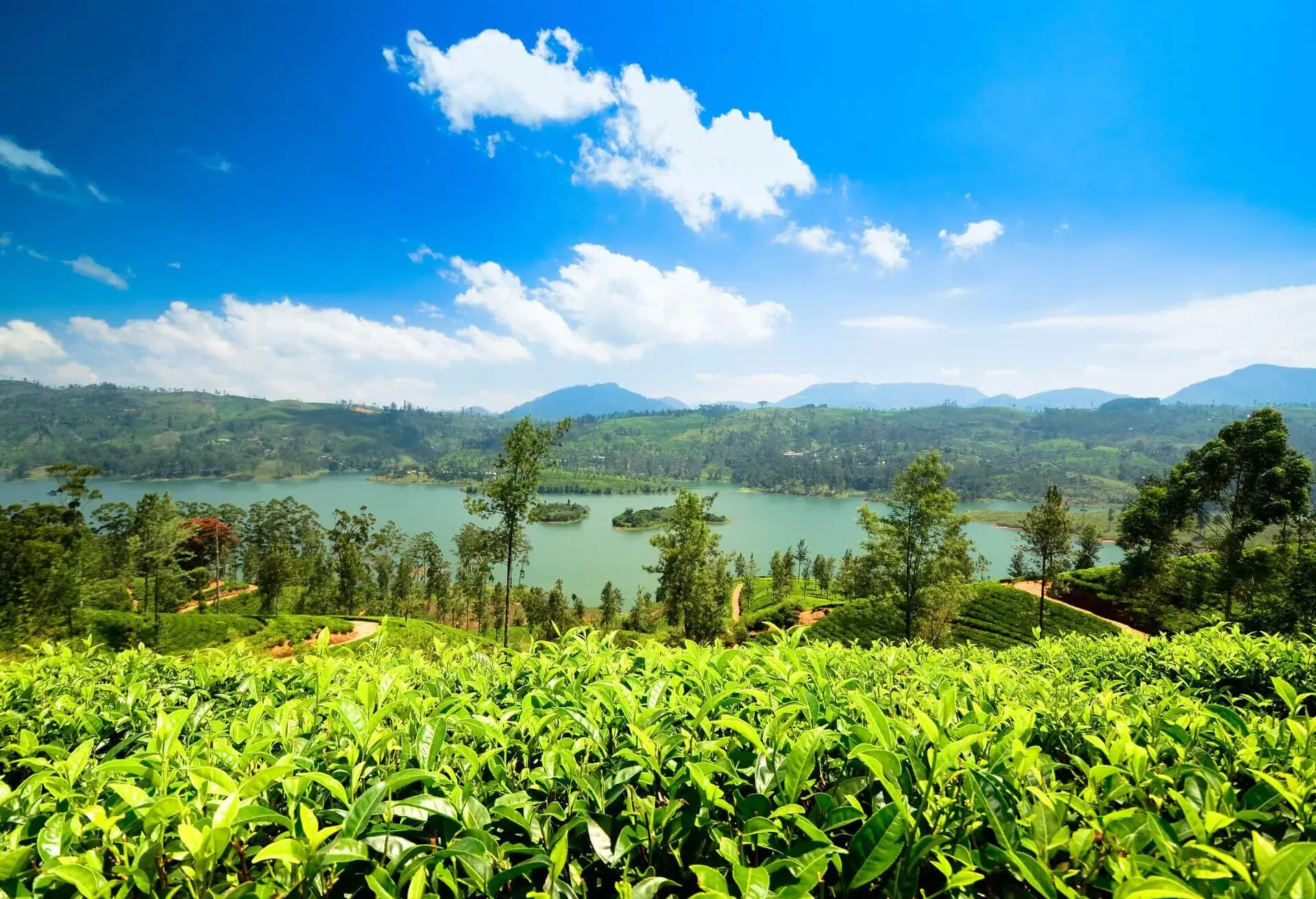 dest sri lanka nuwara eliya