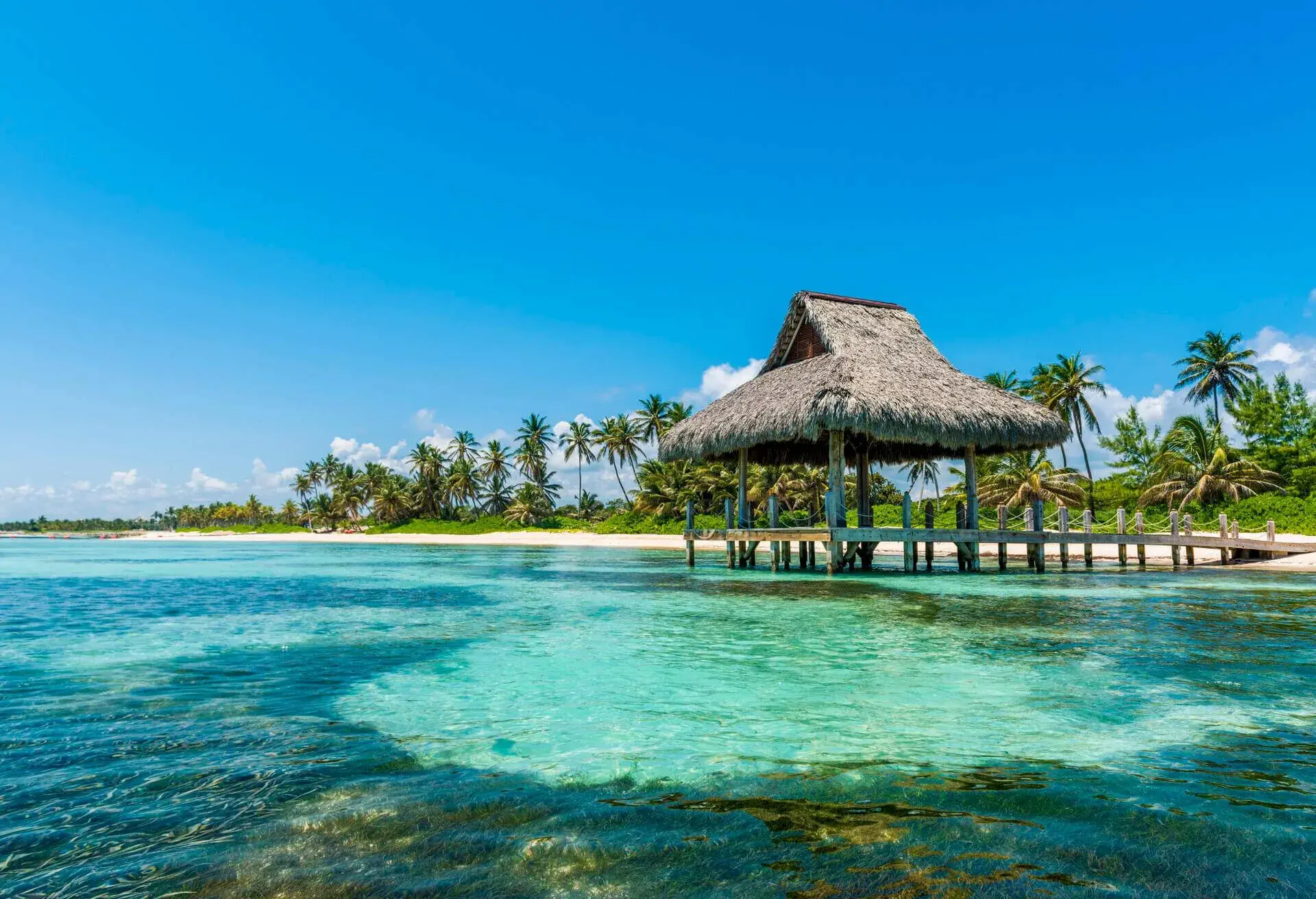 punta cana