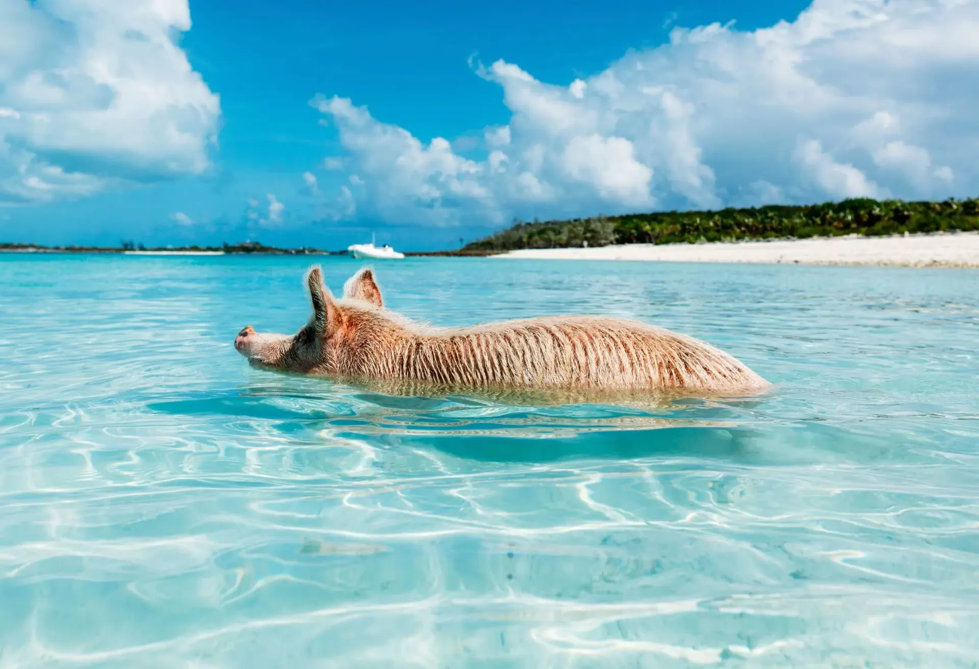 bahamas exuma