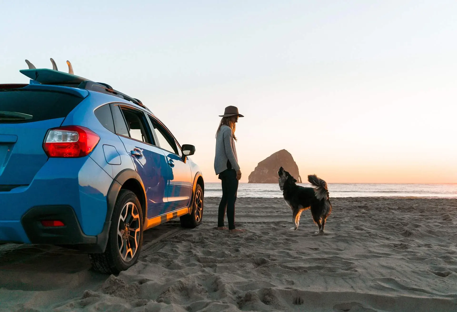 Dog Car Beach Travel