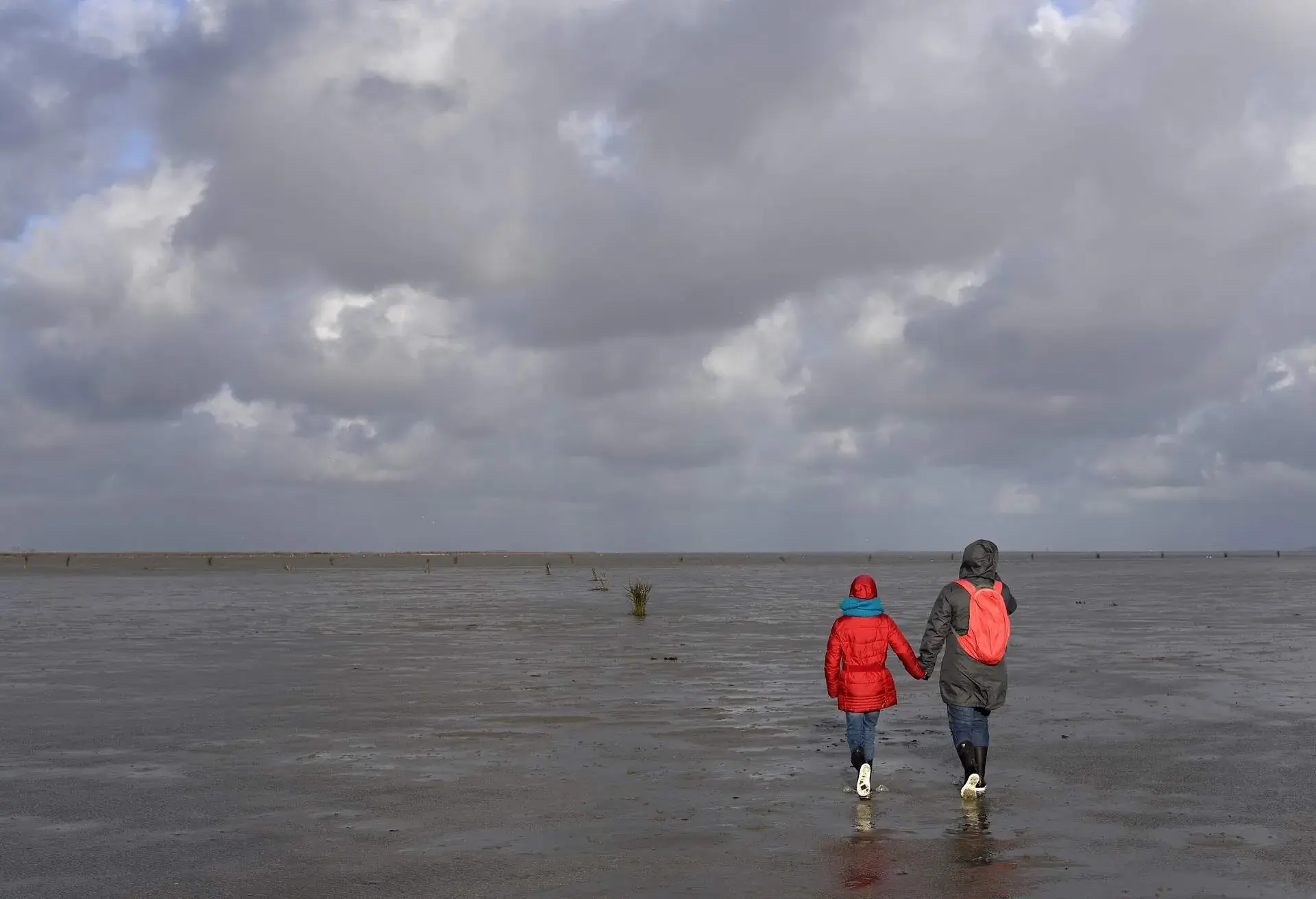 wadden sea