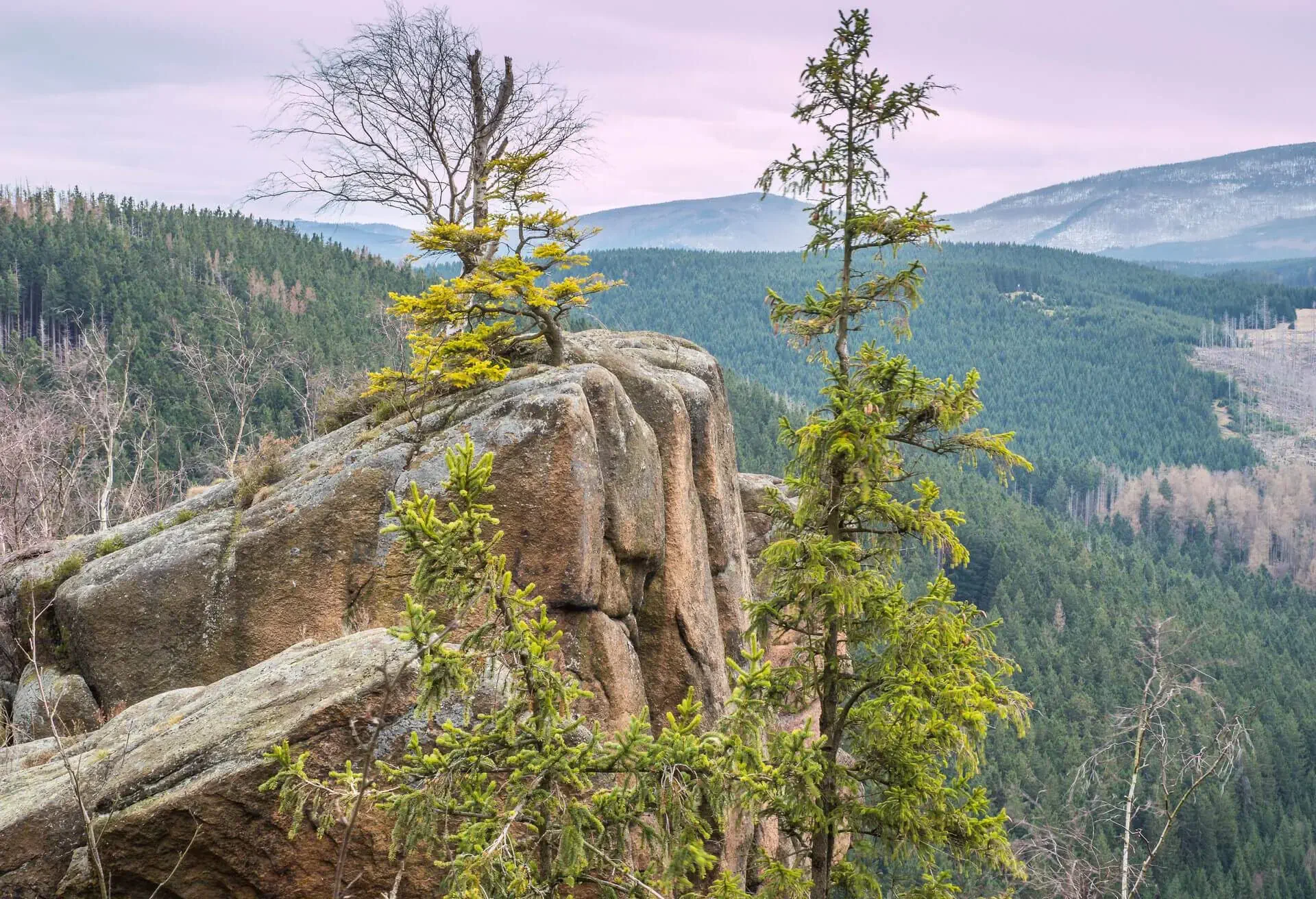 harz national park