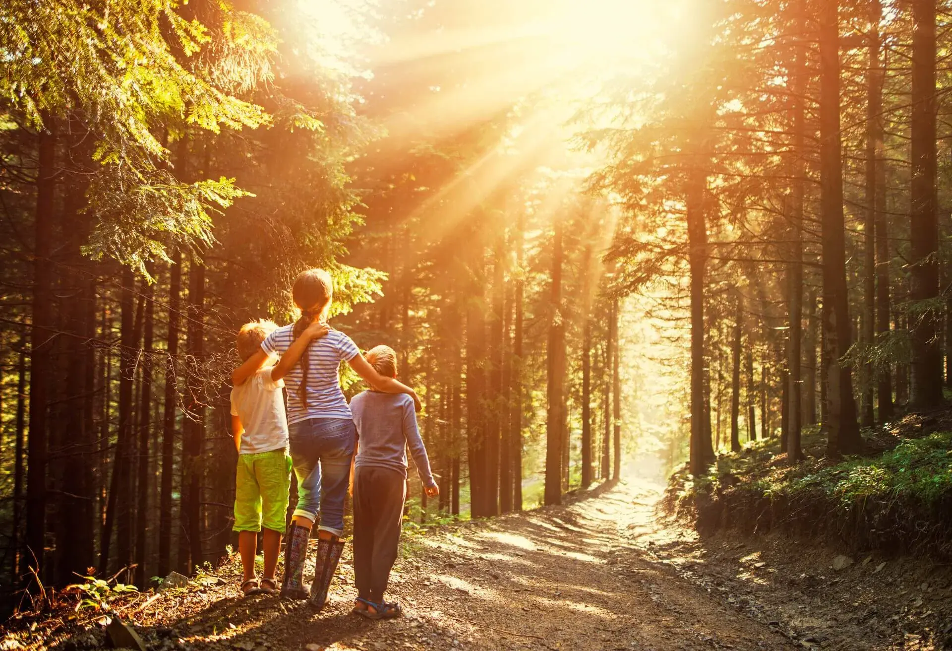 kids forest