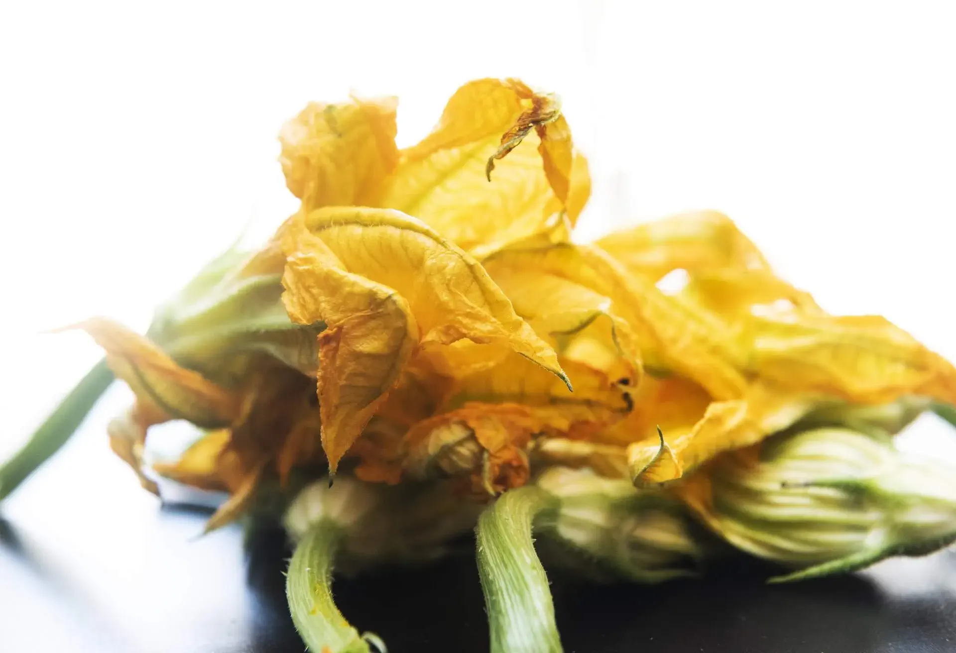 theme_food_fried_courgette_gettyimages-1248545771-_1_universal_within-usage-period_82086