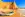 preload