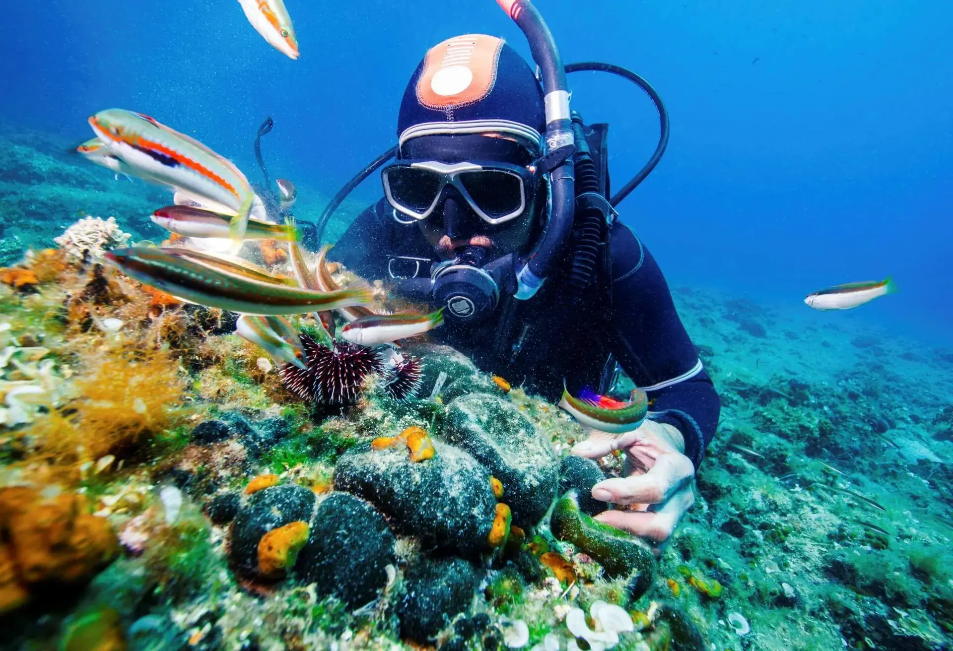 dest_croatia_adriatic-sea_theme_people_scuba-diver_gettyimages-581734905