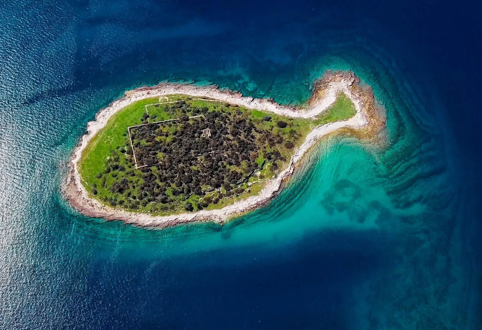 DEST_CROATIA_Brijun_ISLAND_FISH_GAZ_GettyImages-1297446212