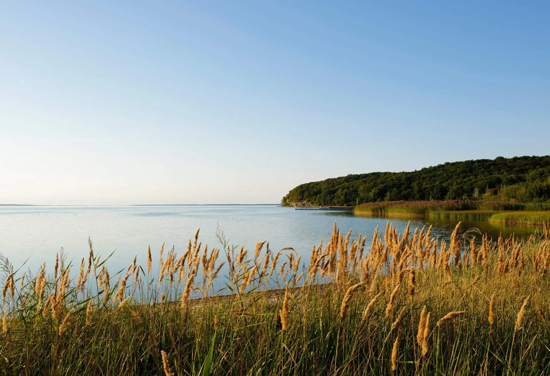 DEST_GERMANY_RÜGEN_RUEGEN_GettyImages-707455581