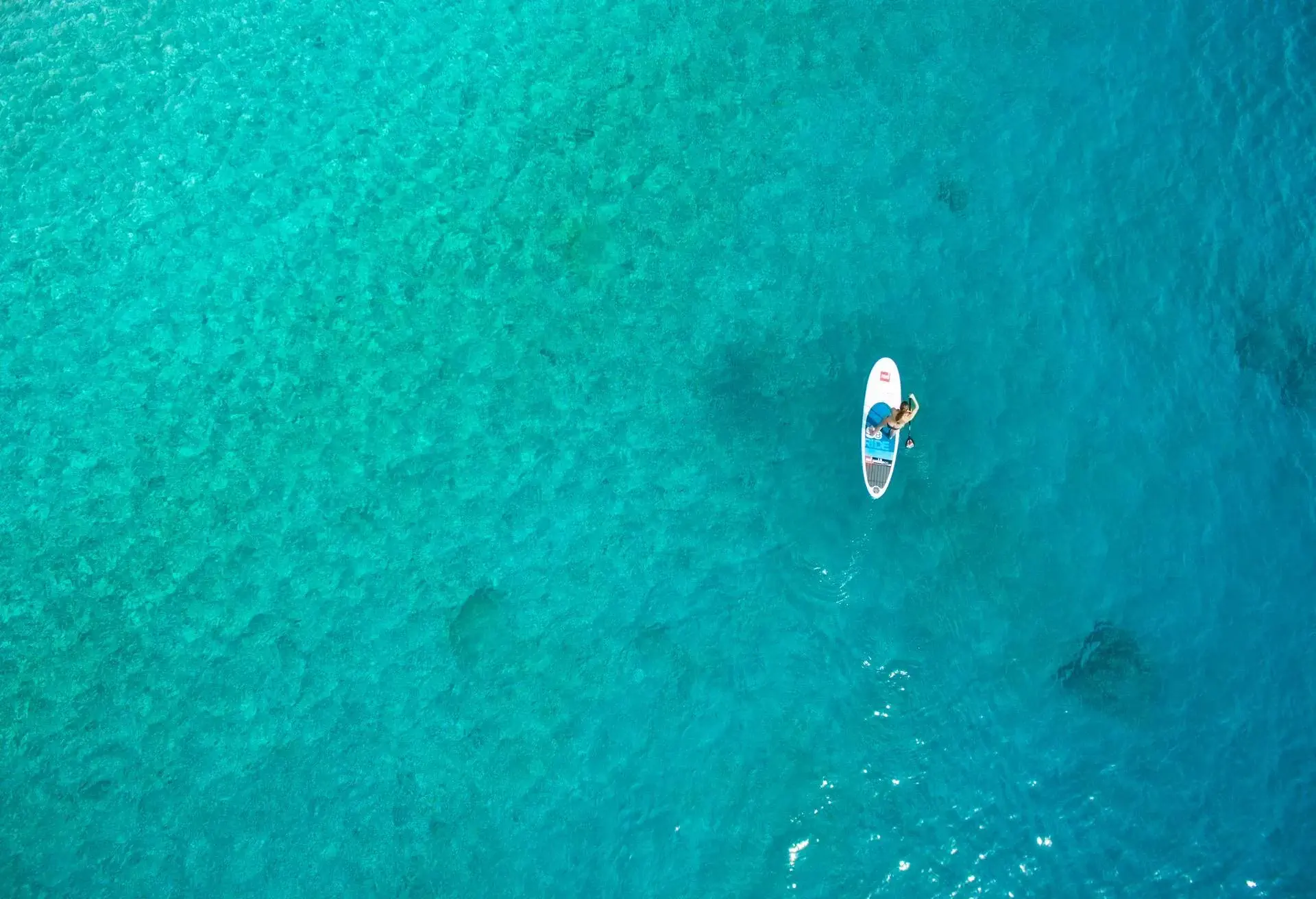 Stand Up Paddling