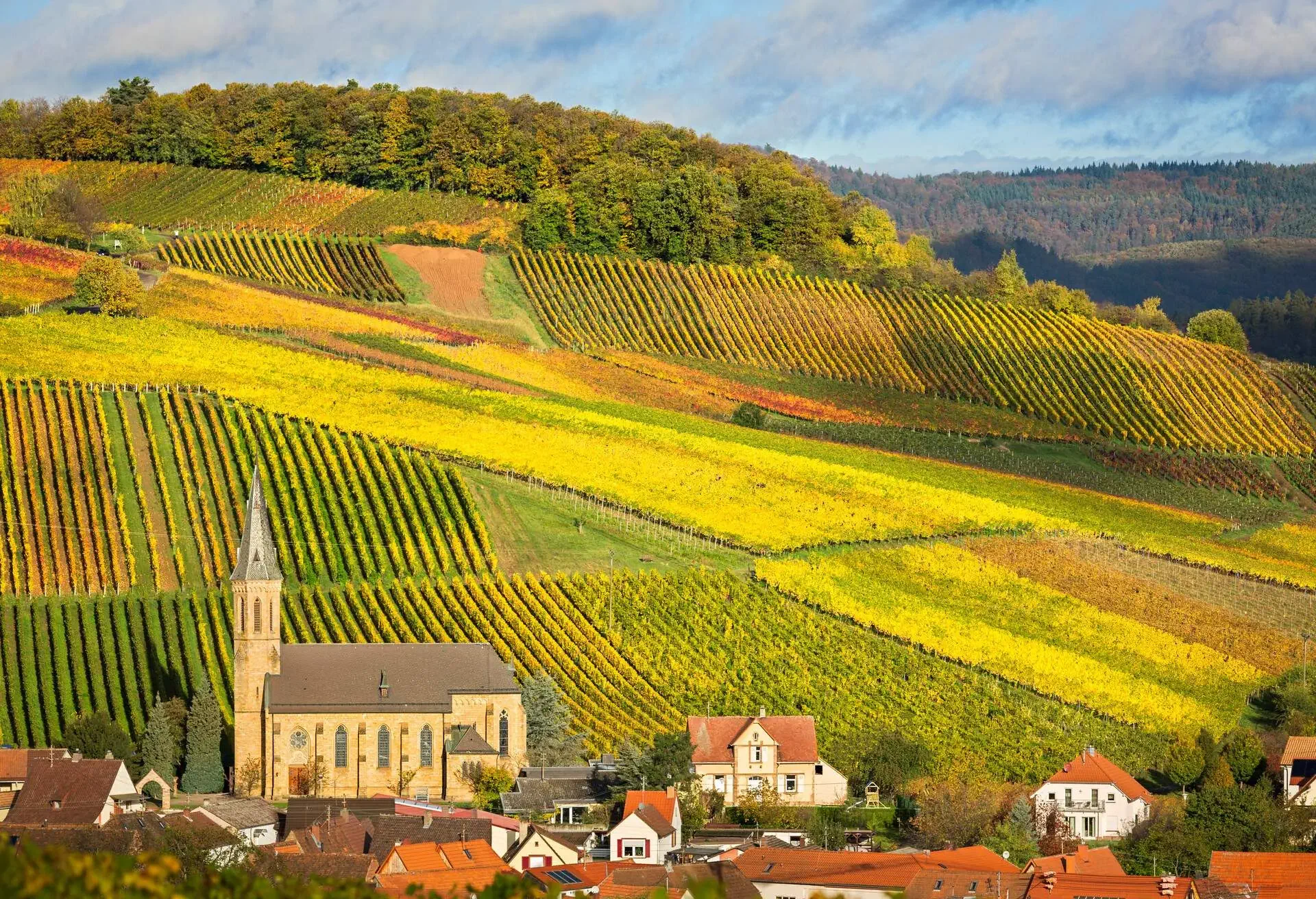 DEST_GERMANY_PFALZ_THEME_WINE_VINEYARDS_GettyImages-452421329