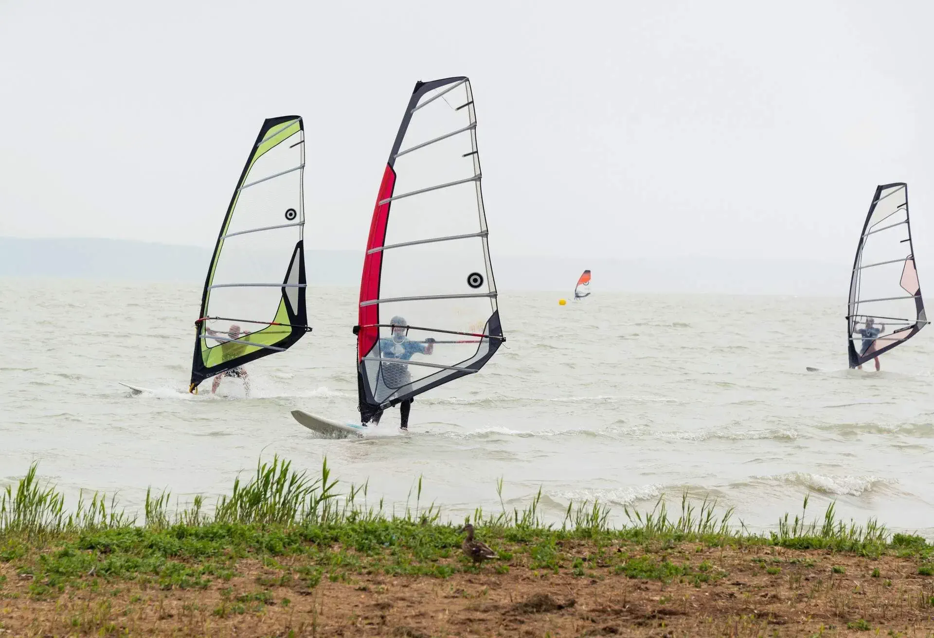 DEST_AUSTRIA_WACHAU_NEUSIEDLER LAKE_PURBACH AM NEUSIEDLER SEE_THEME_WINDSURFING_GettyImages-858580138
